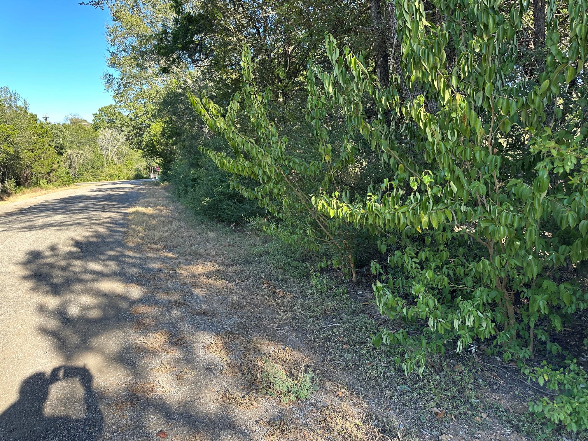 Lot 9 Robin Run Property Photo 2