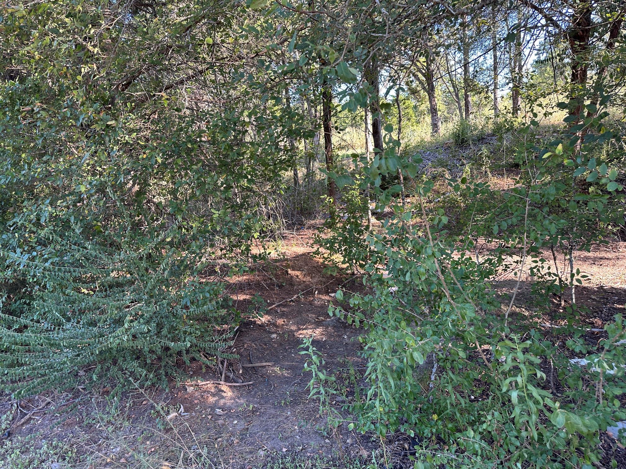 Lot 9 Robin Run Property Photo 3