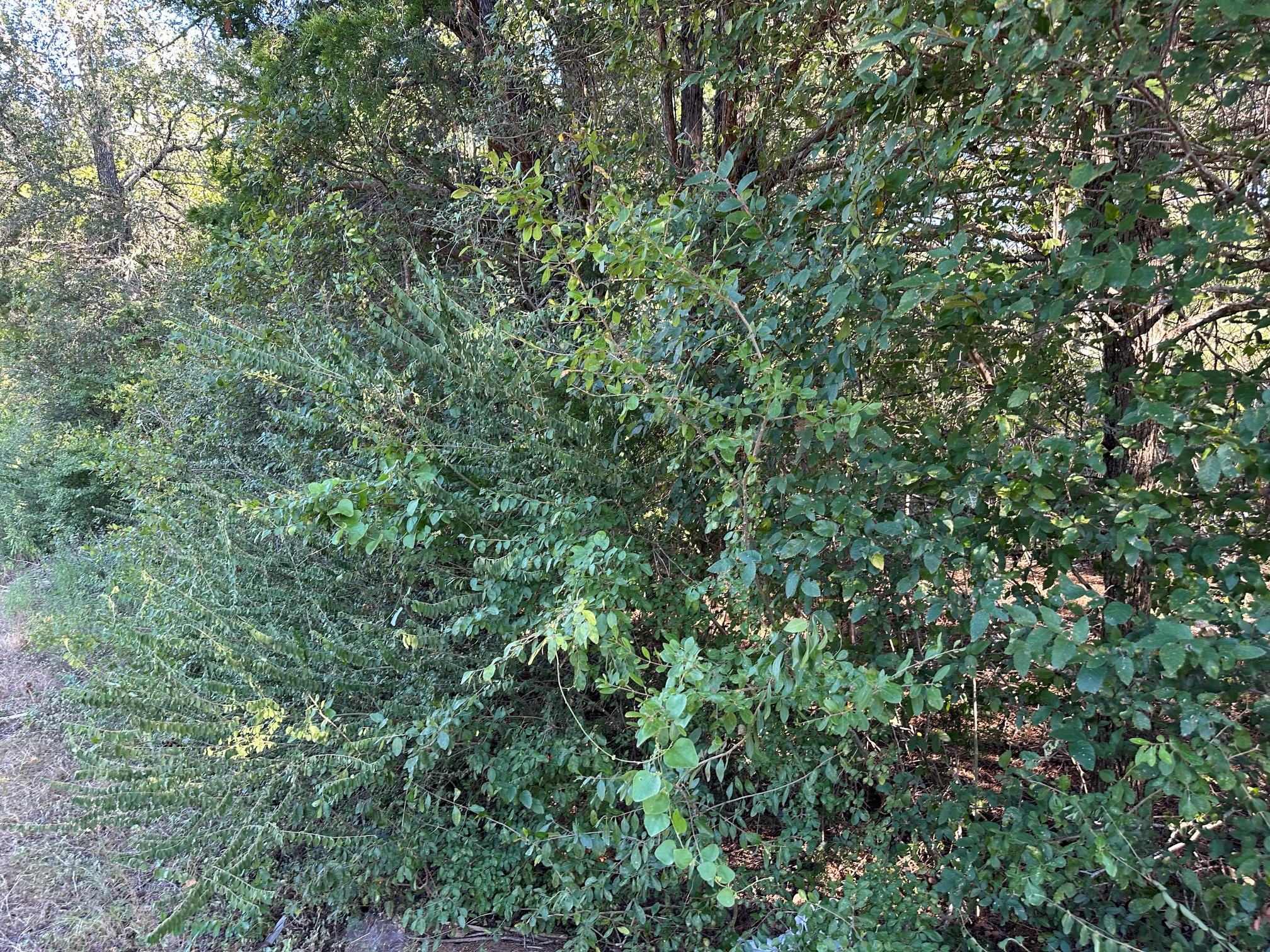 Lot 9 Robin Run Property Photo 4