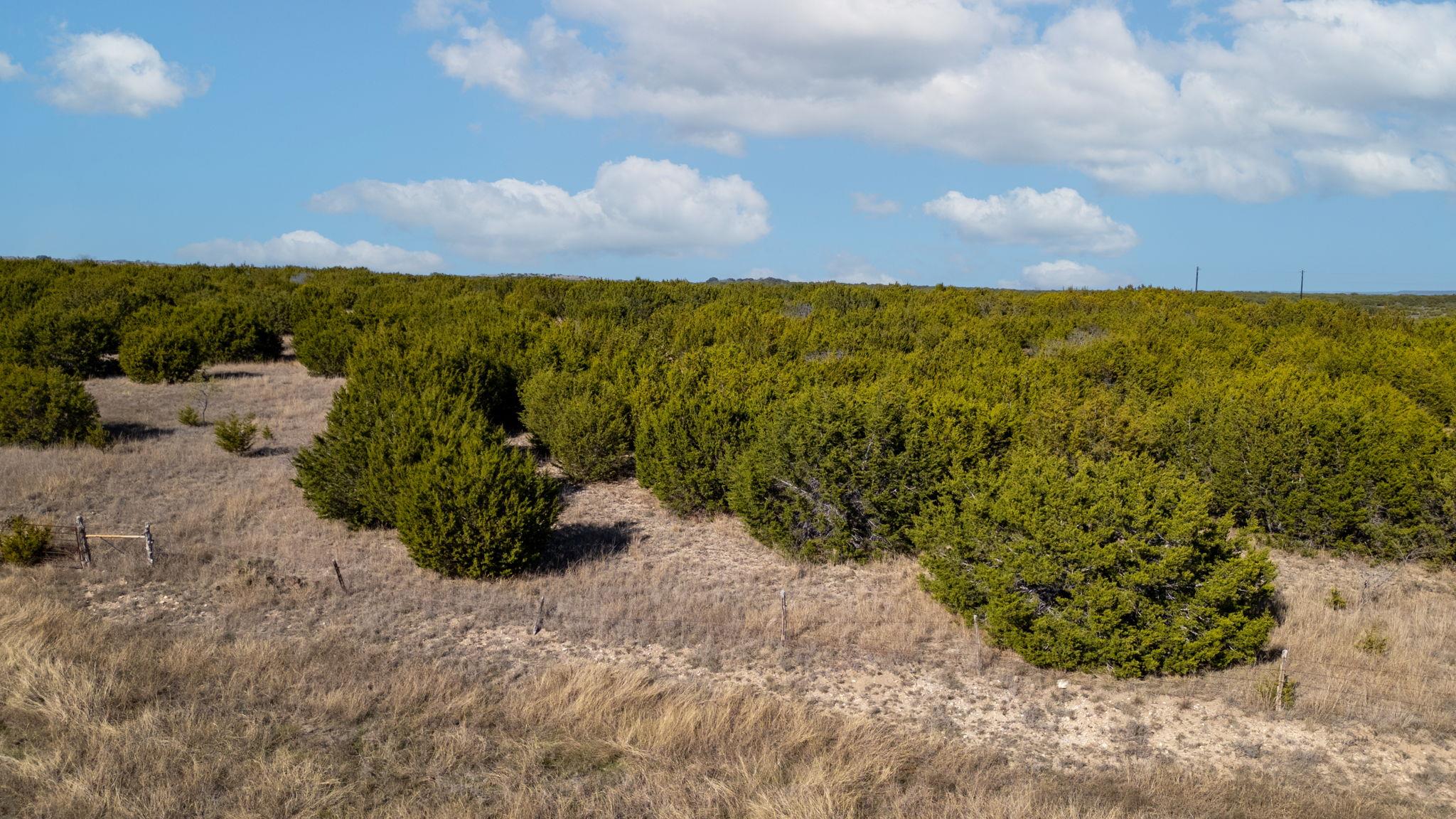 Tbd Cr 2315 None Property Photo 11
