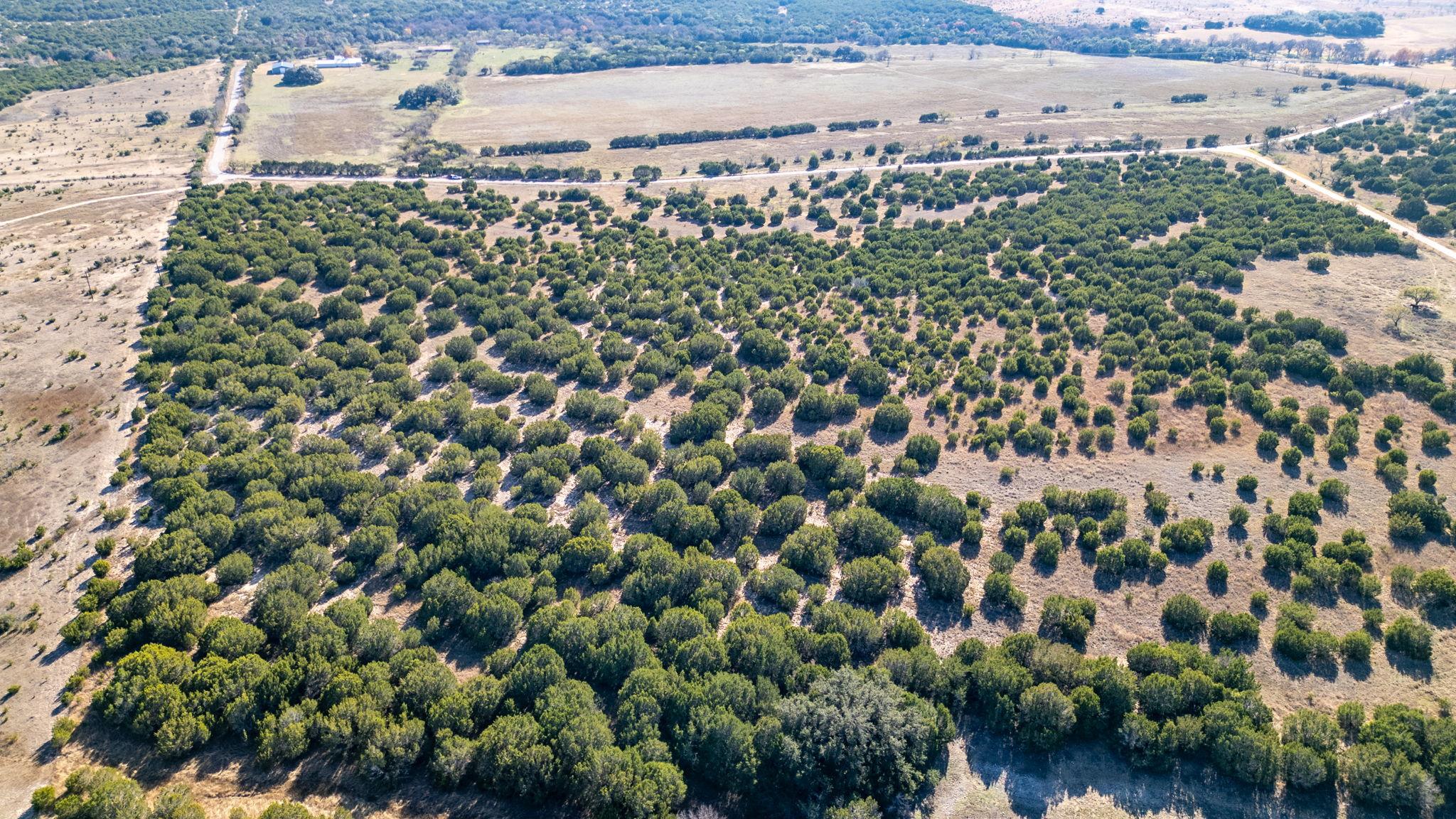 Tbd Cr 2315 None Property Photo 14