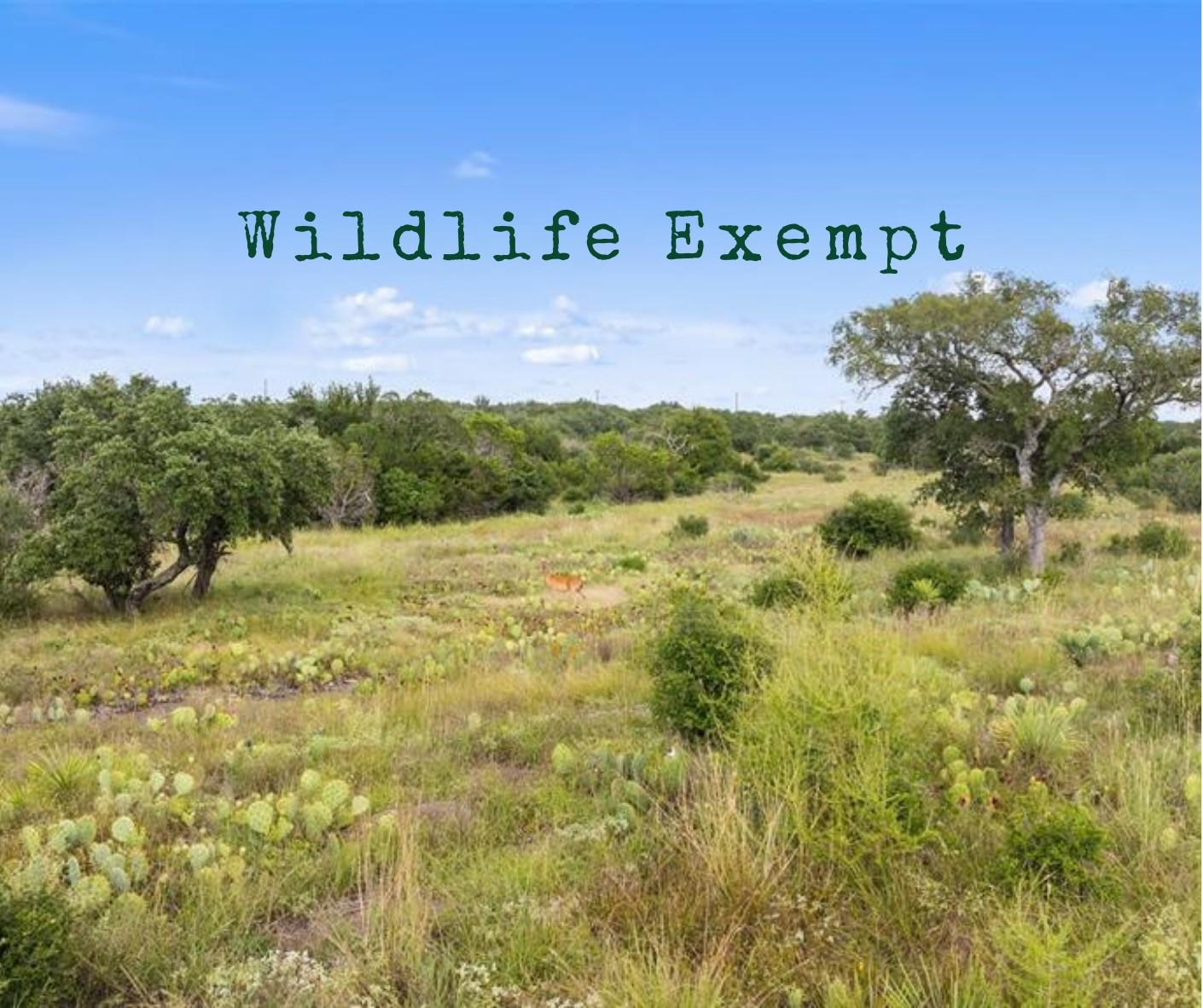 Tbd W Rr 962 None Property Photo 1