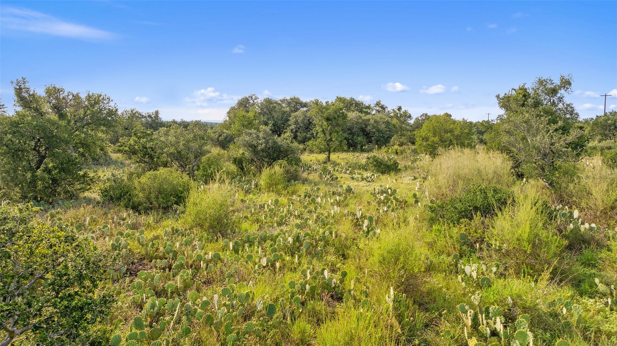Tbd W Rr 962 None Property Photo 18