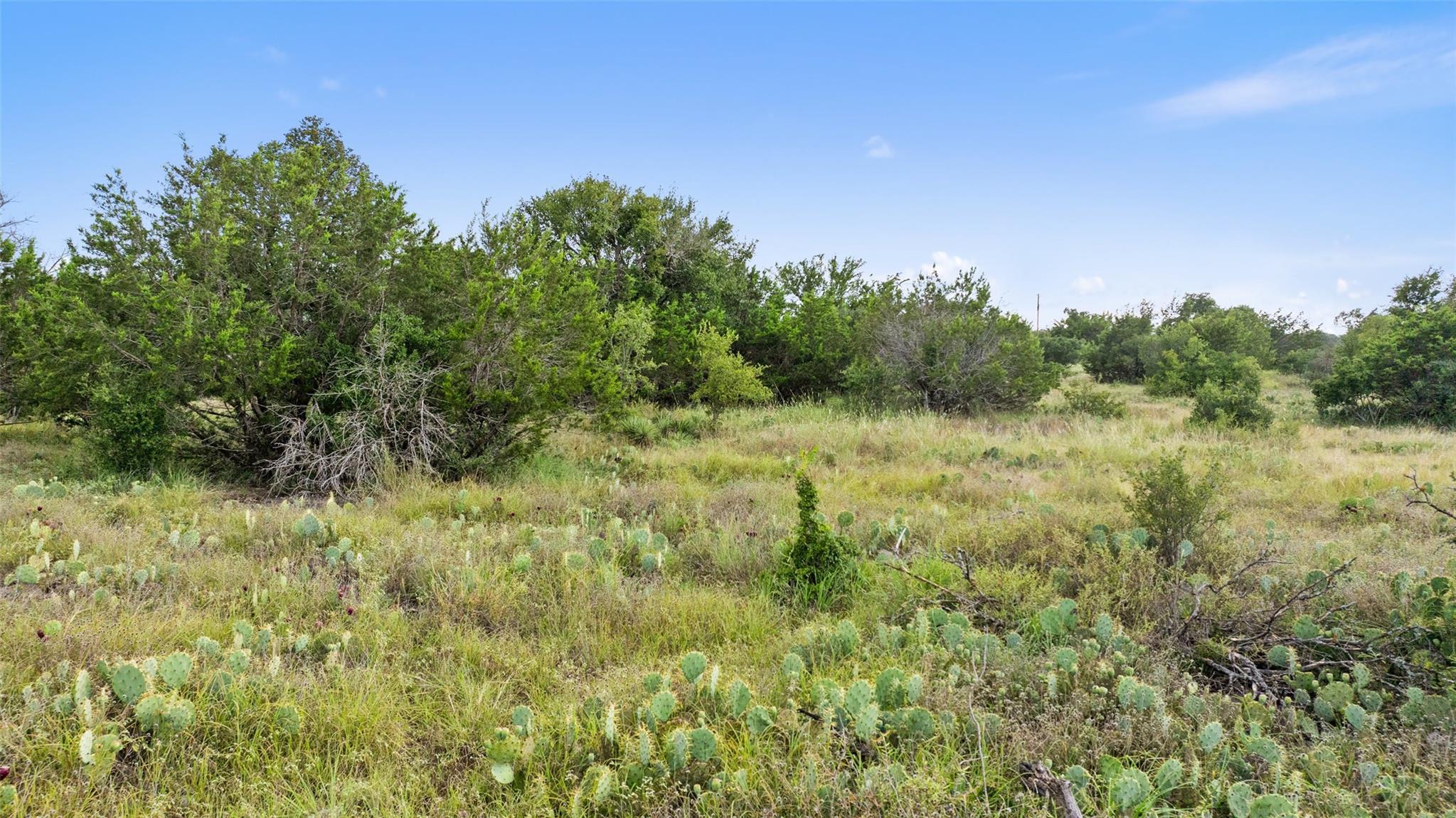 Tbd W Rr 962 None Property Photo 23