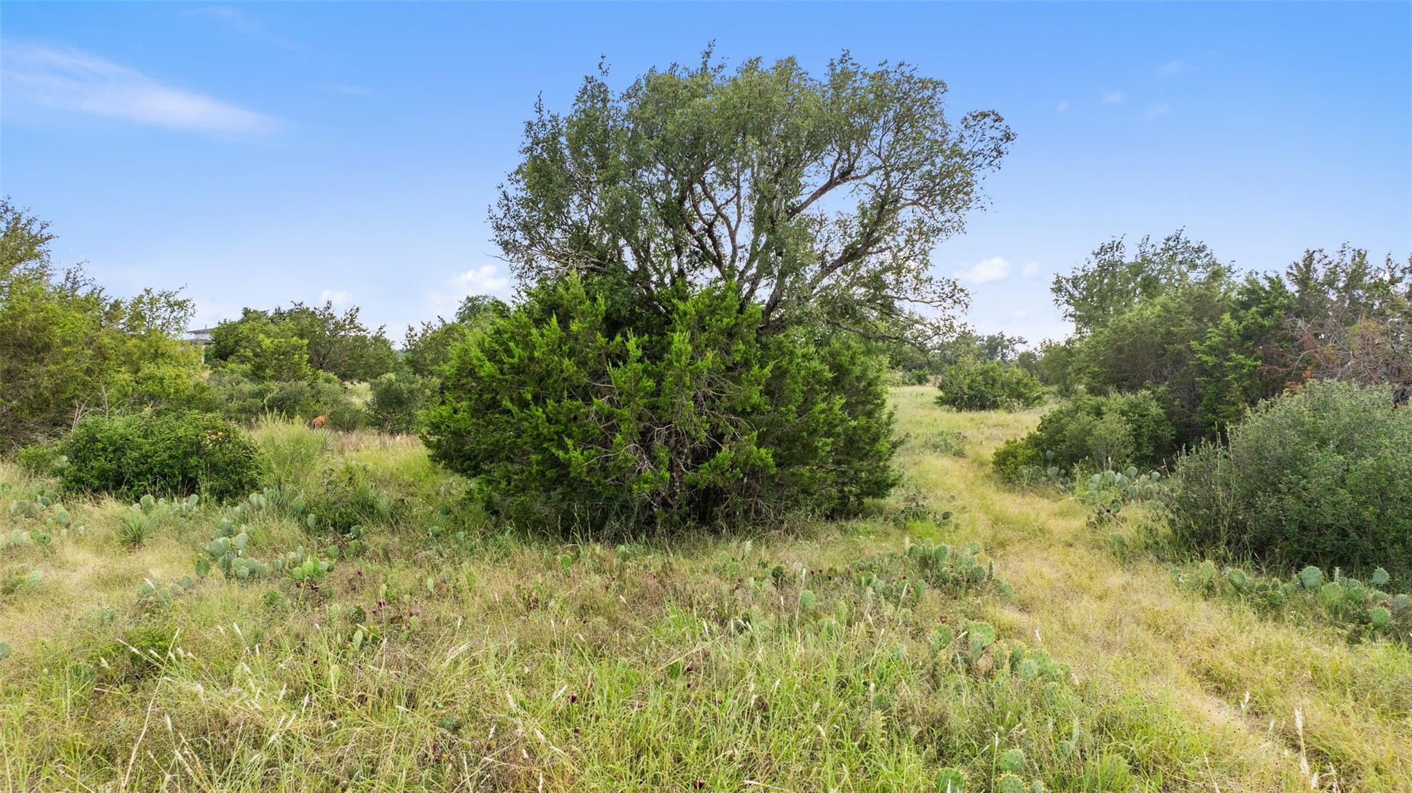 Tbd W Rr 962 None Property Photo 24