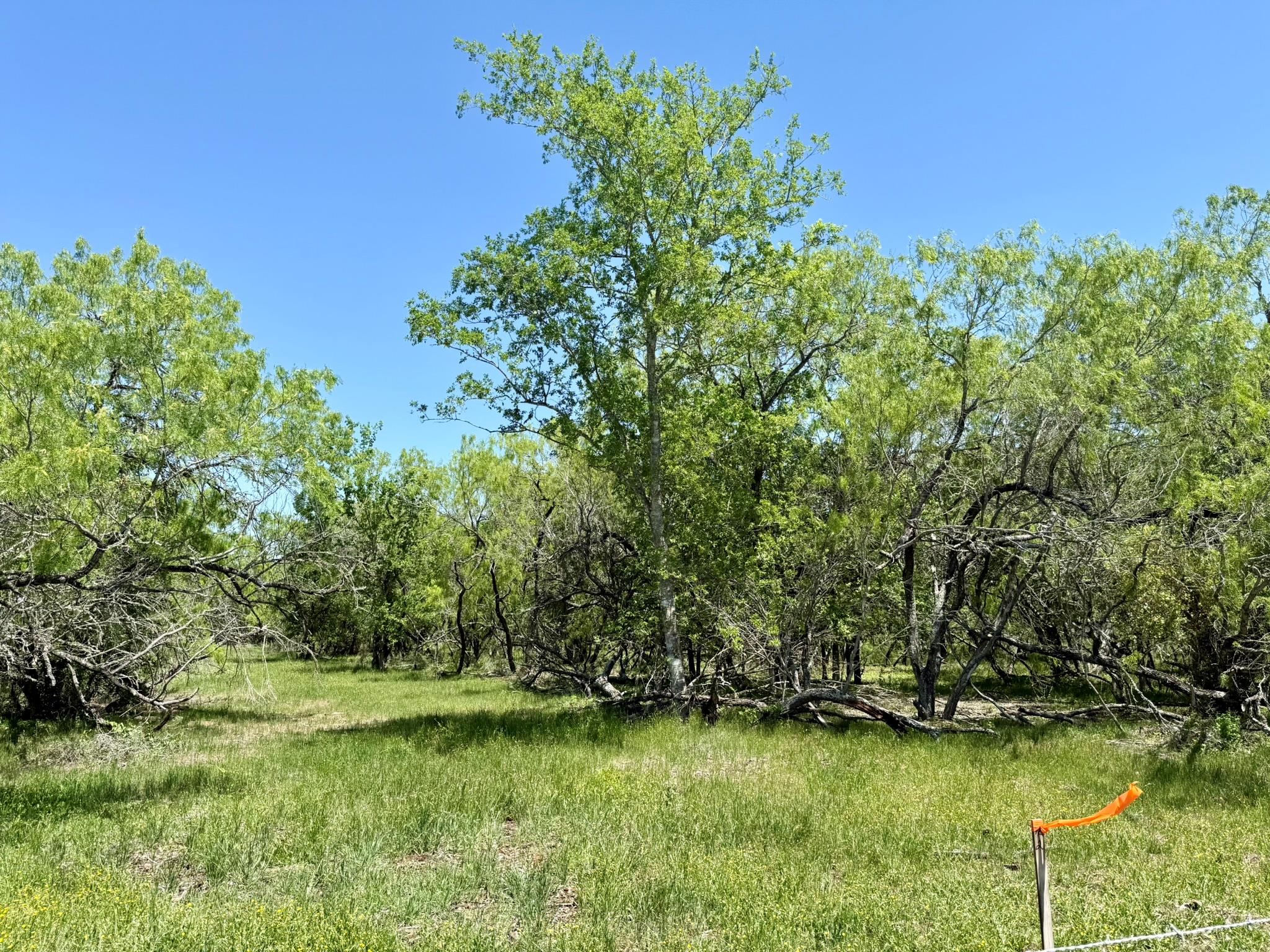 Tbd Acorn Rd 3 Property Photo 8