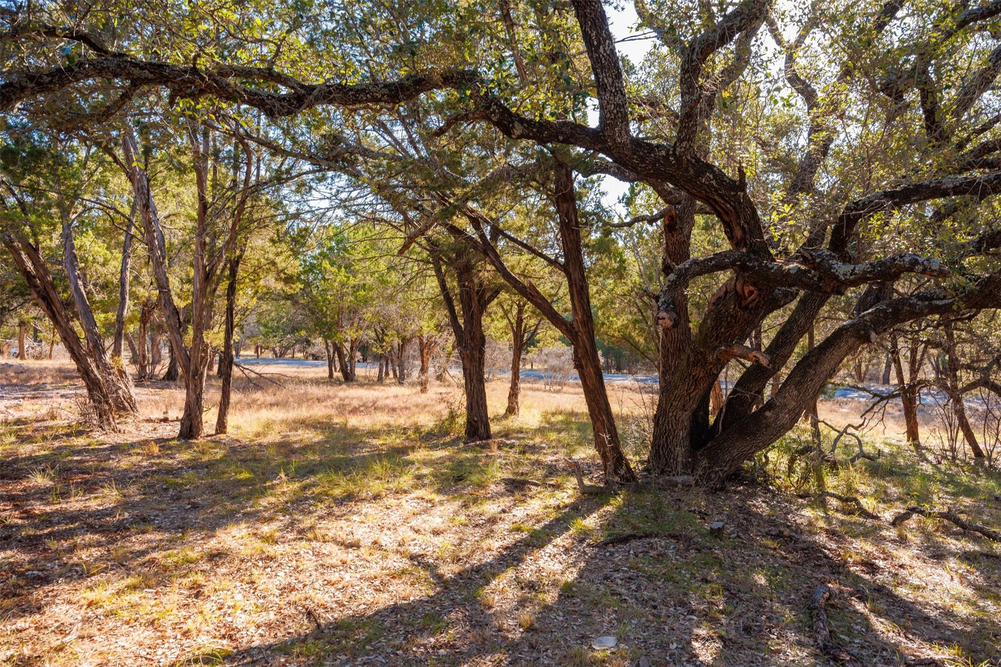 14025 Pinkerton Loop Property Photo 12