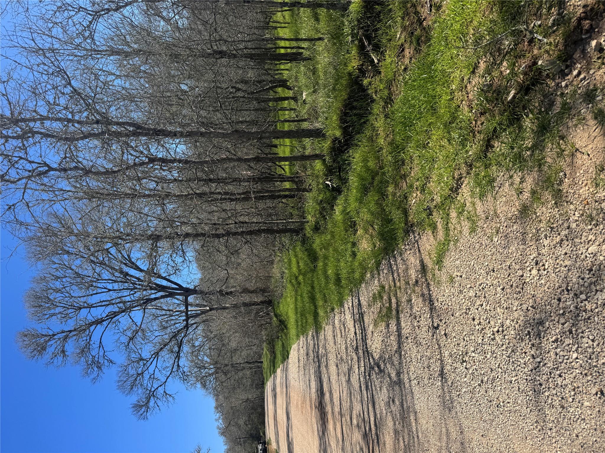 291 Kolekole Ln Property Photo 1