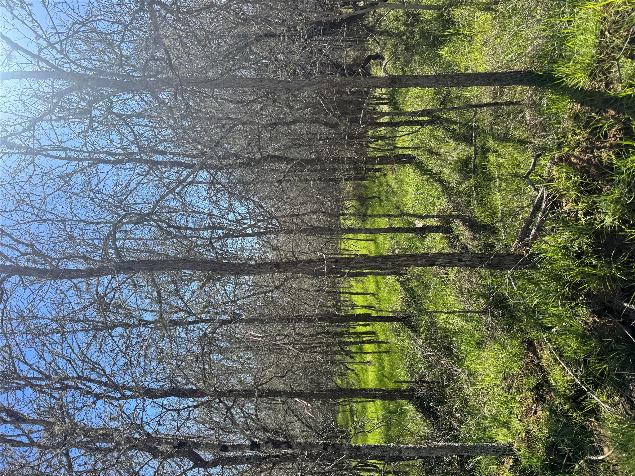 291 Kolekole Ln Property Photo 2