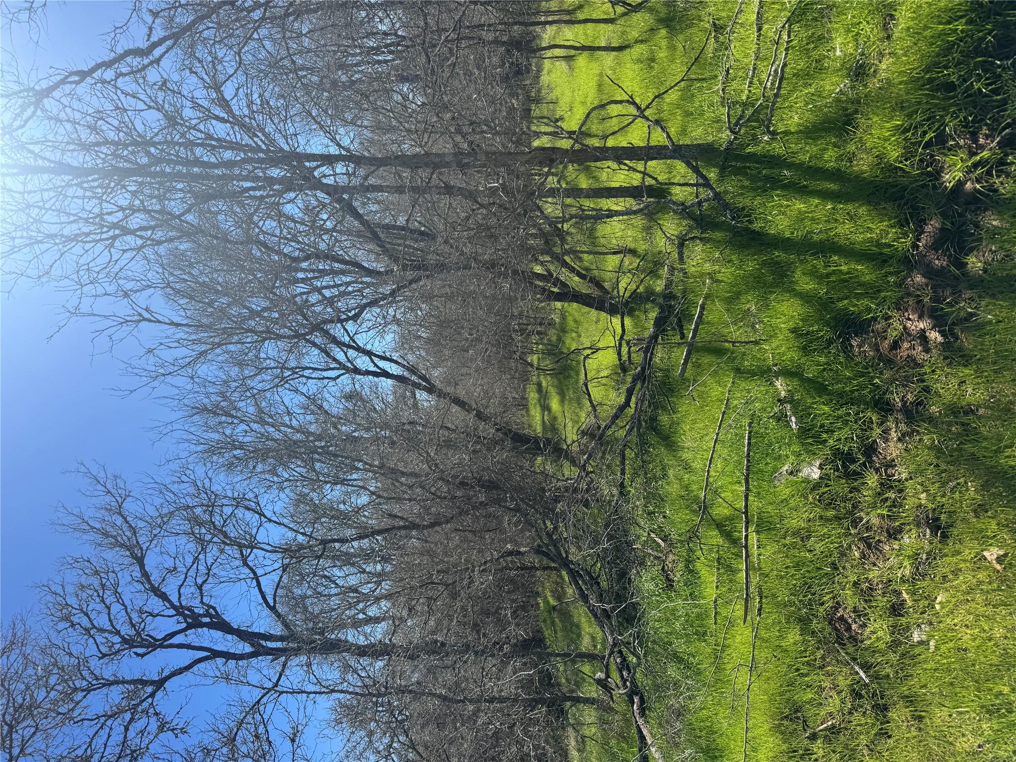 291 Kolekole Ln Property Photo 3