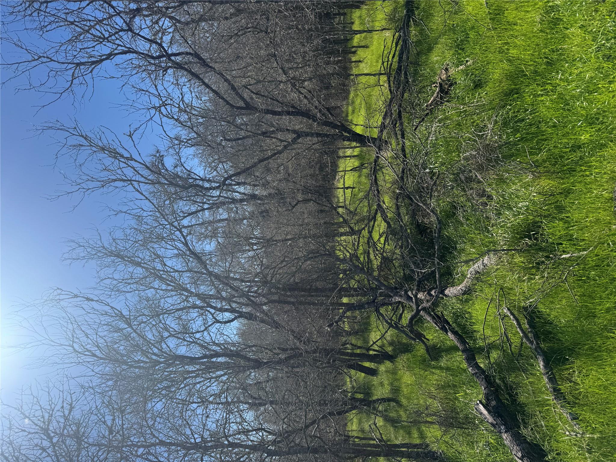 291 Kolekole Ln Property Photo 4