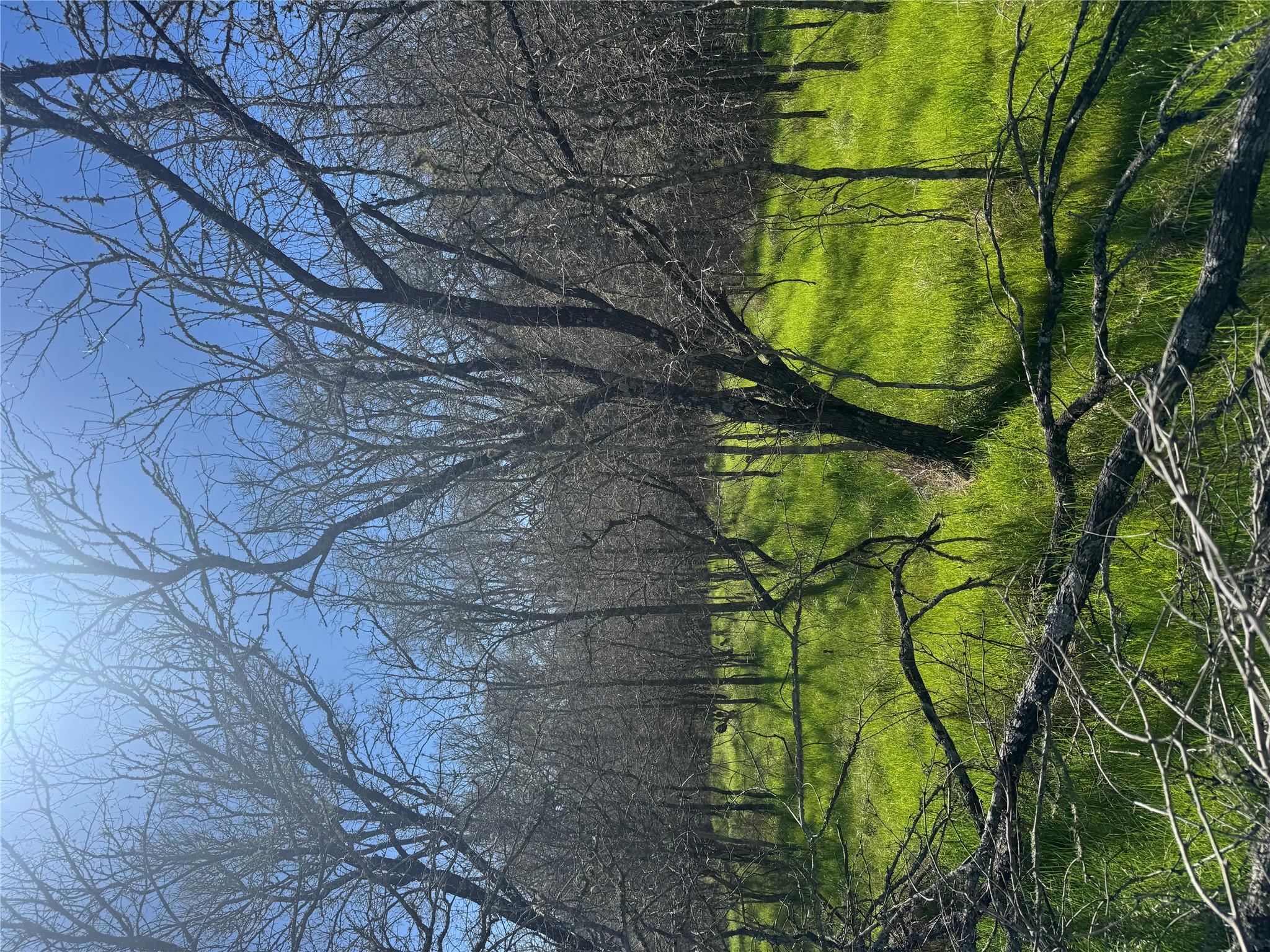 291 Kolekole Ln Property Photo 5