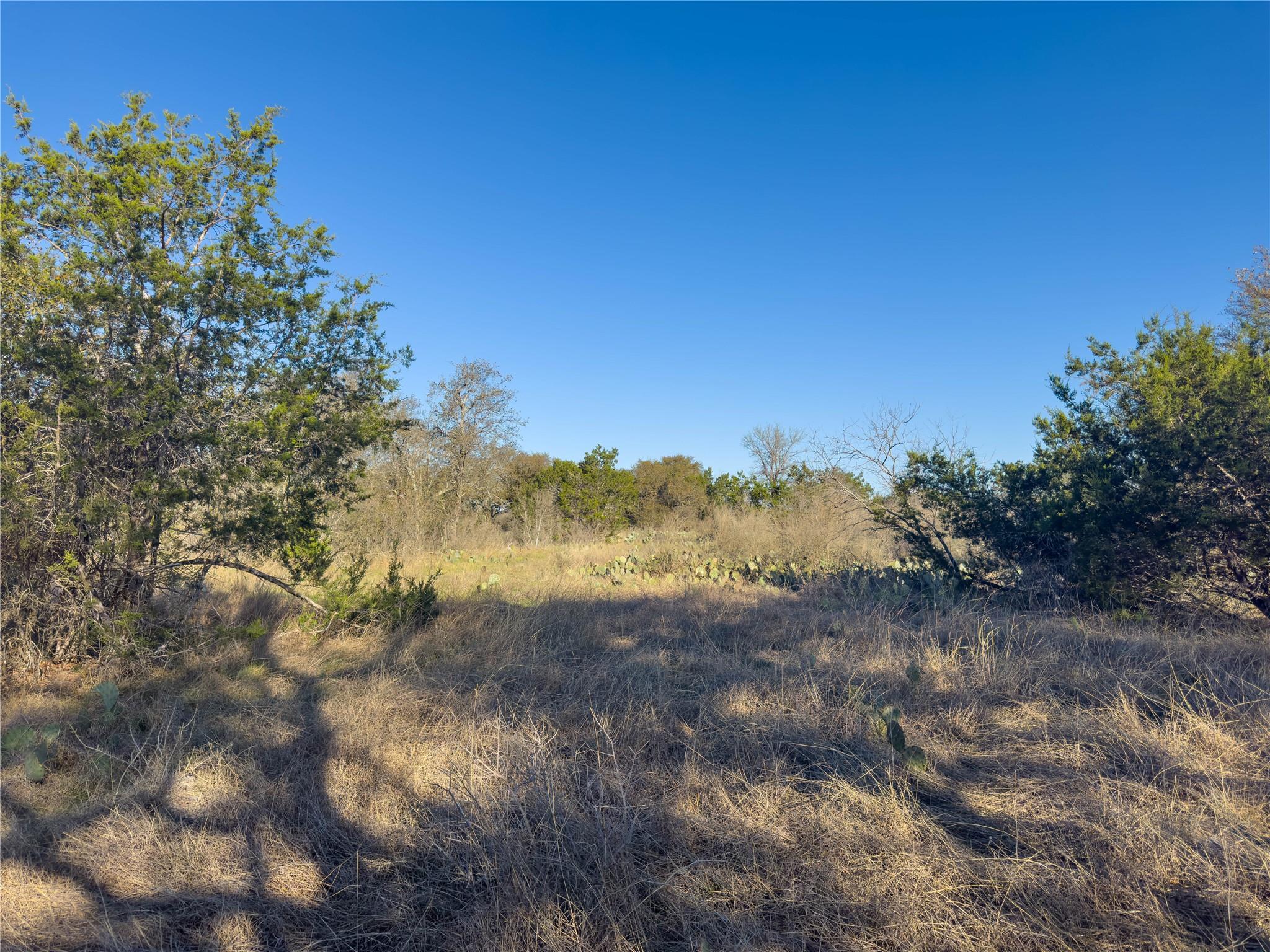 Lot 196-a Marble Falls Ct Property Photo 7