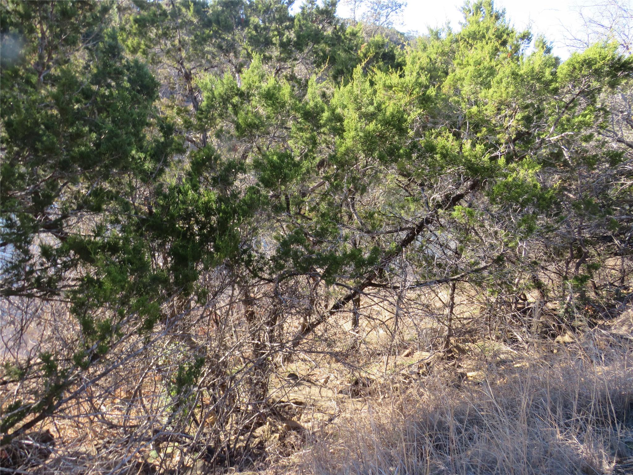 Tbd Lot 25 Sunset Cliff Rd Property Photo 3