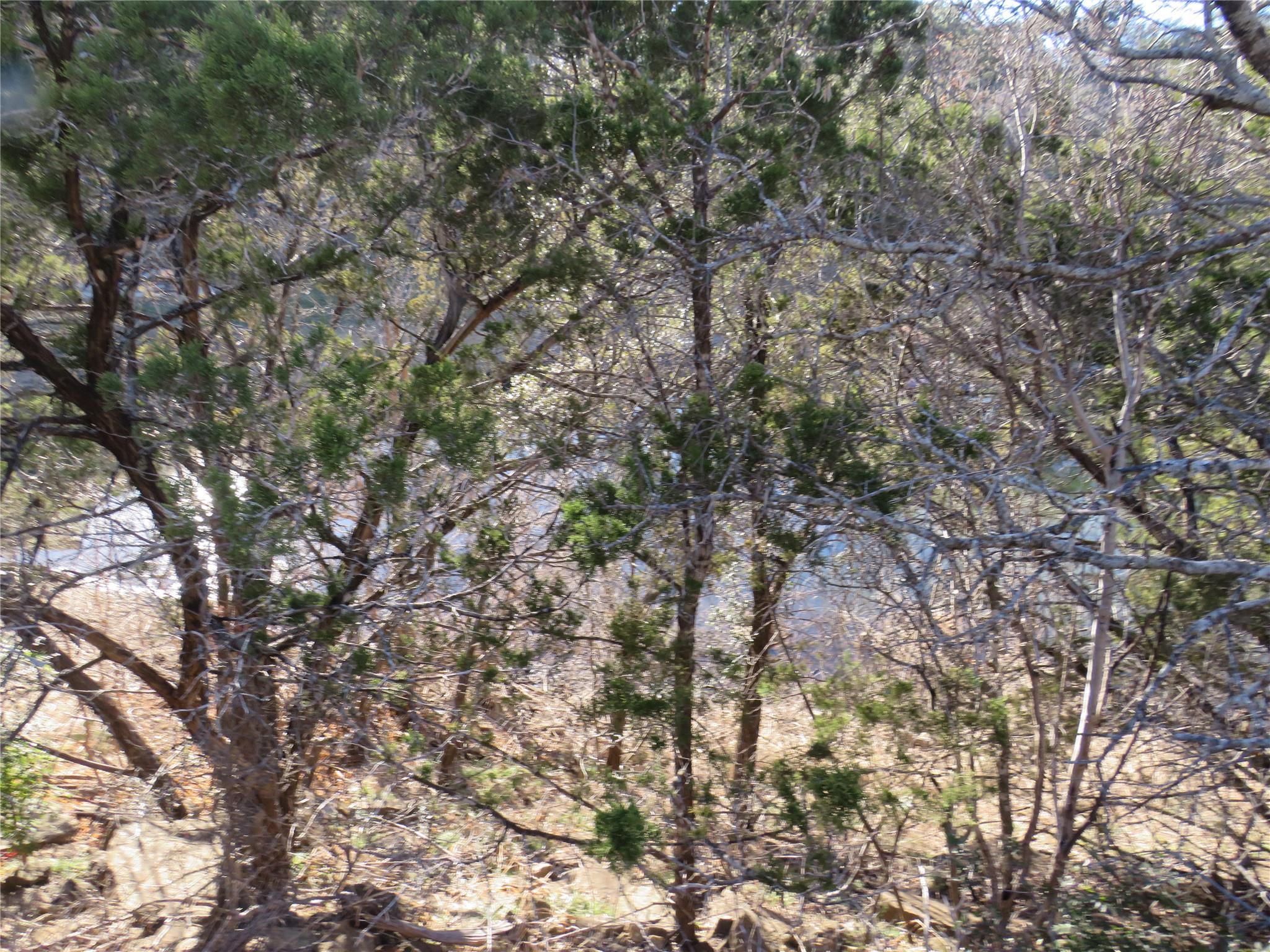 Tbd Lot 25 Sunset Cliff Rd Property Photo 4