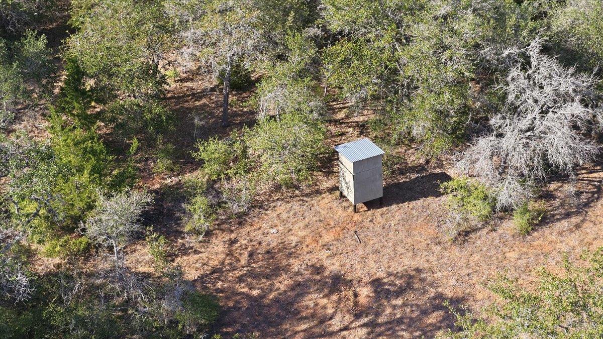 Tbd Tbd Bch Property Photo 6