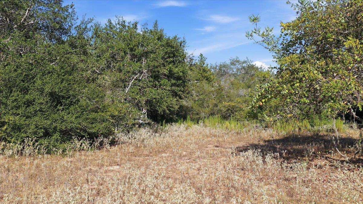 Tbd Tbd Bch Property Photo 10