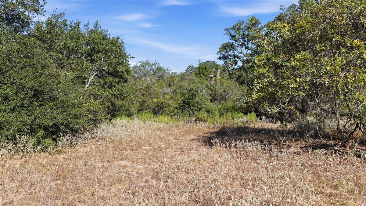 Tbd Tbd Bch Property Photo 12