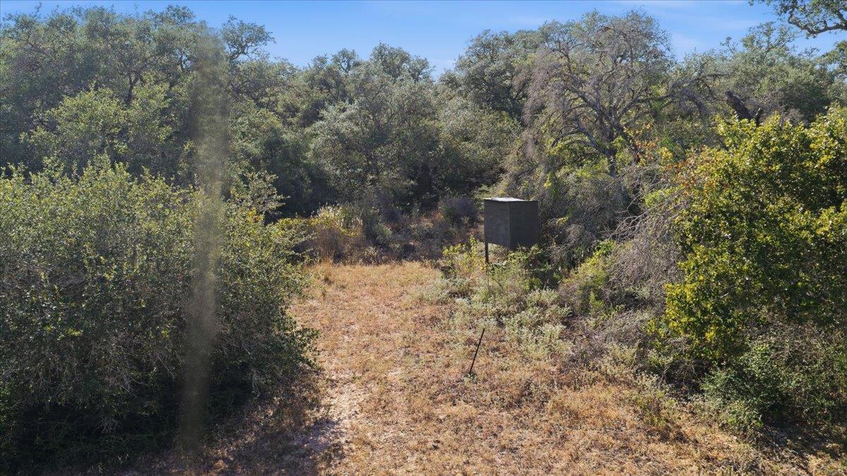 Tbd Tbd Bch Property Photo 13