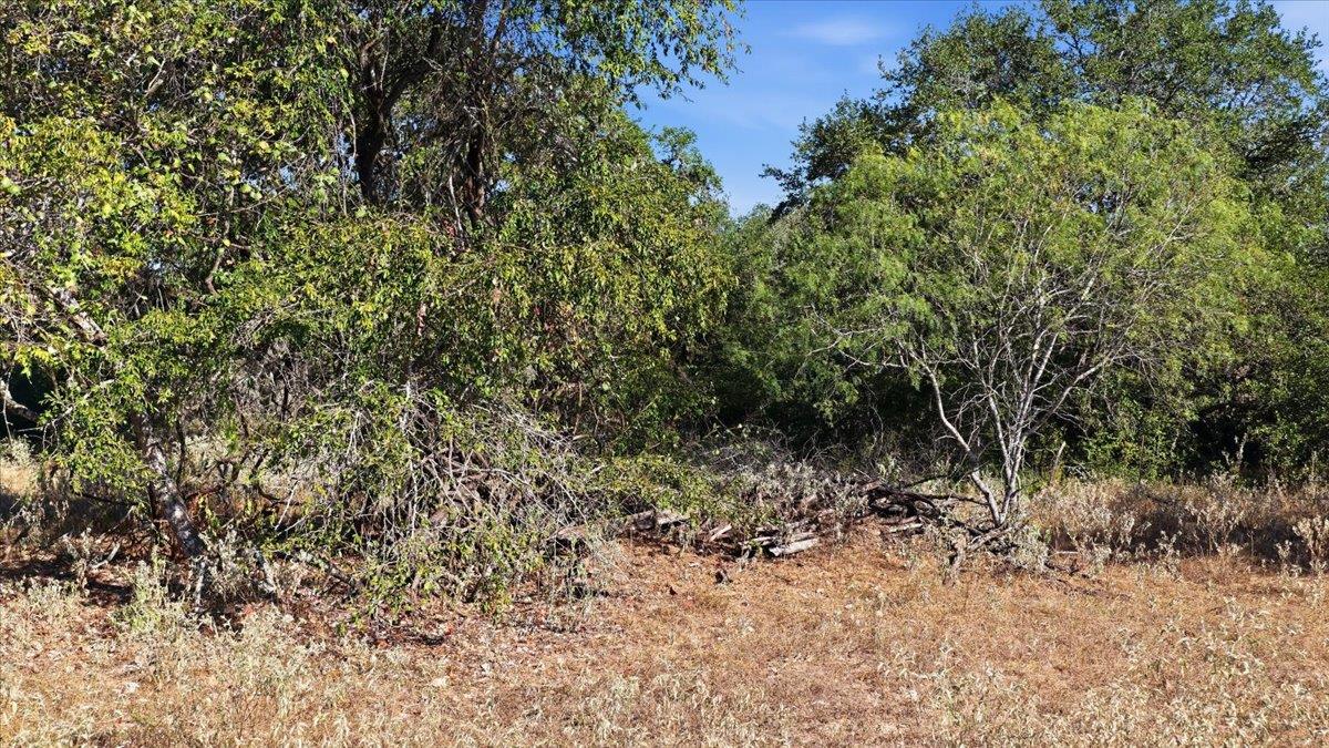 Tbd Tbd Bch Property Photo 15