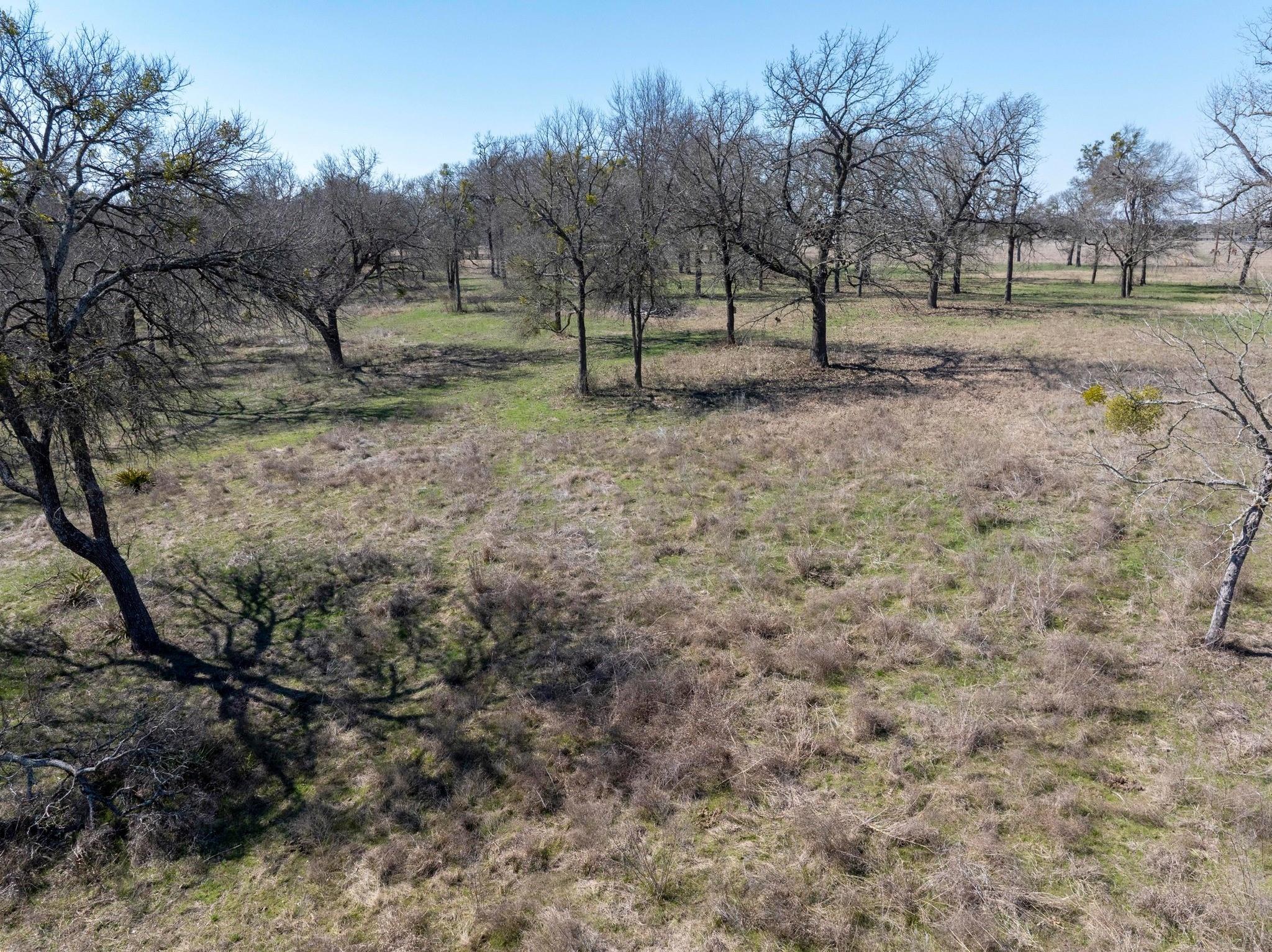 105 River Valley Dr Property Photo 16