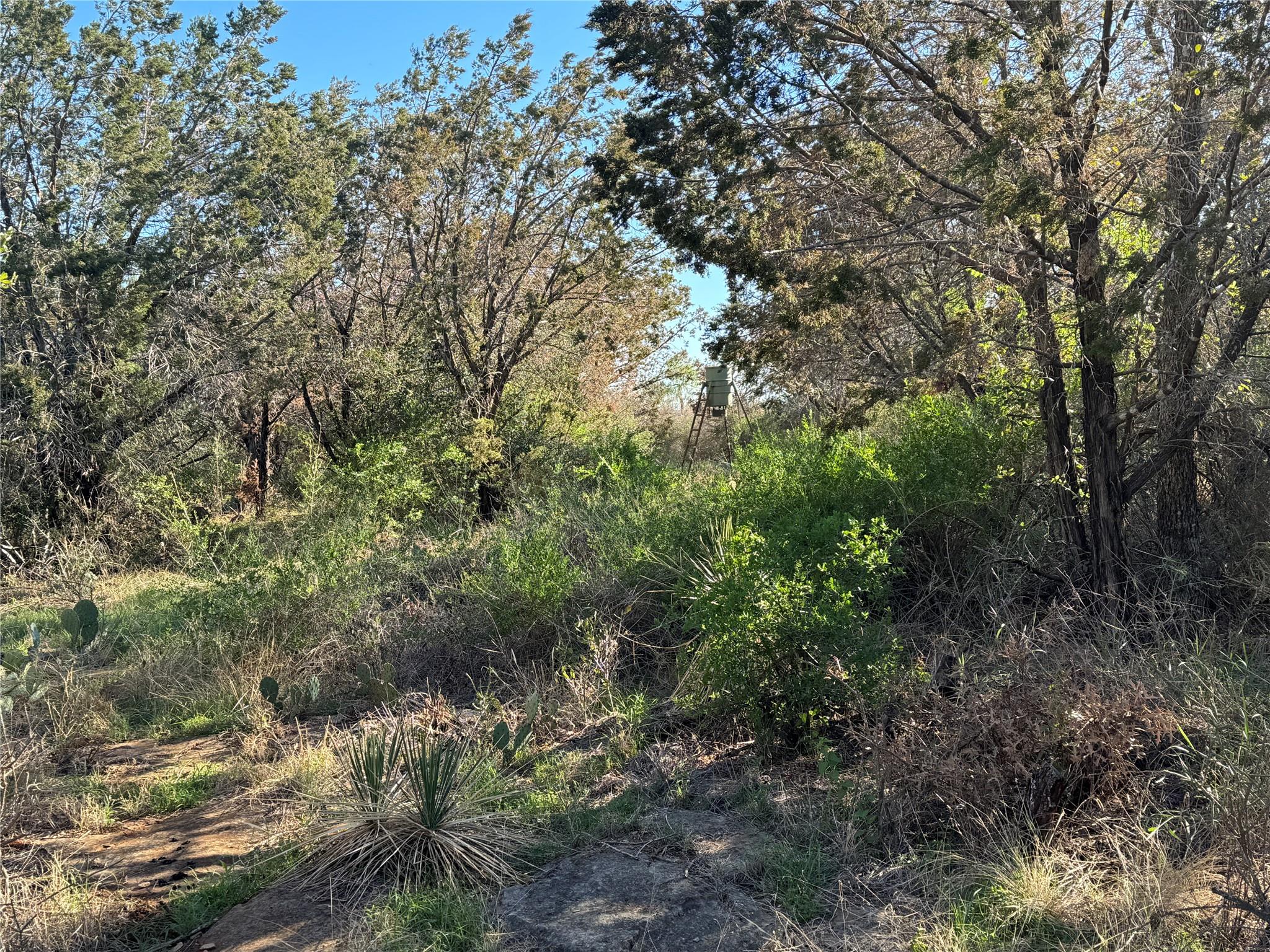 6939 Fm 690 None Property Photo 7