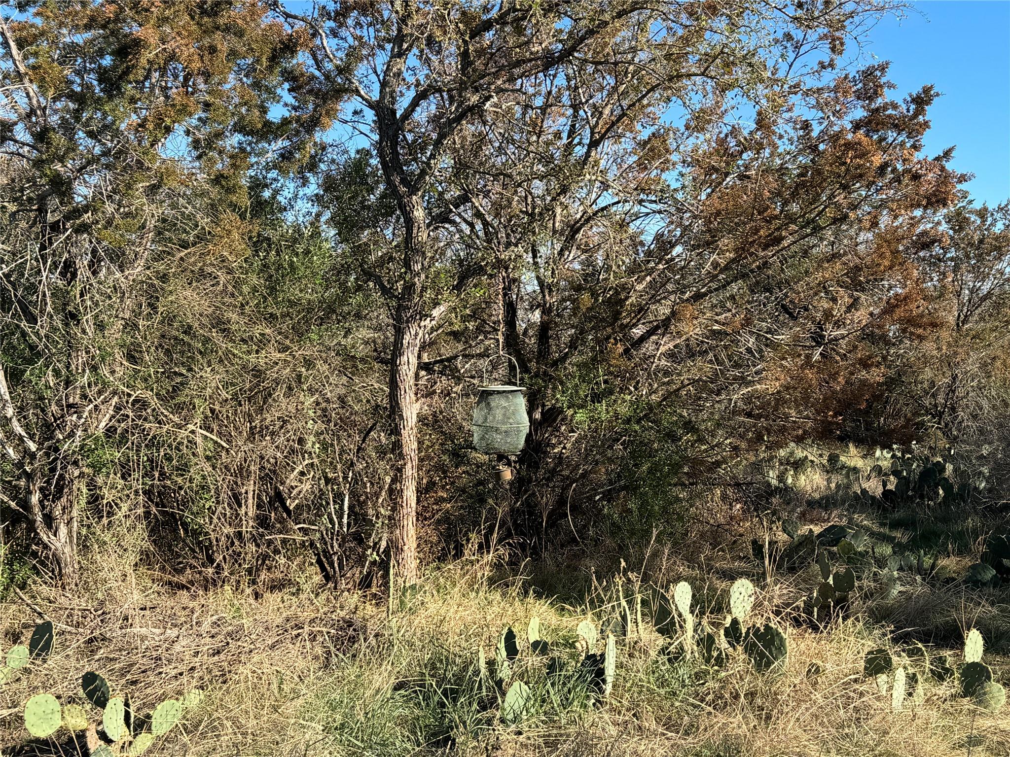 6939 Fm 690 None Property Photo 10