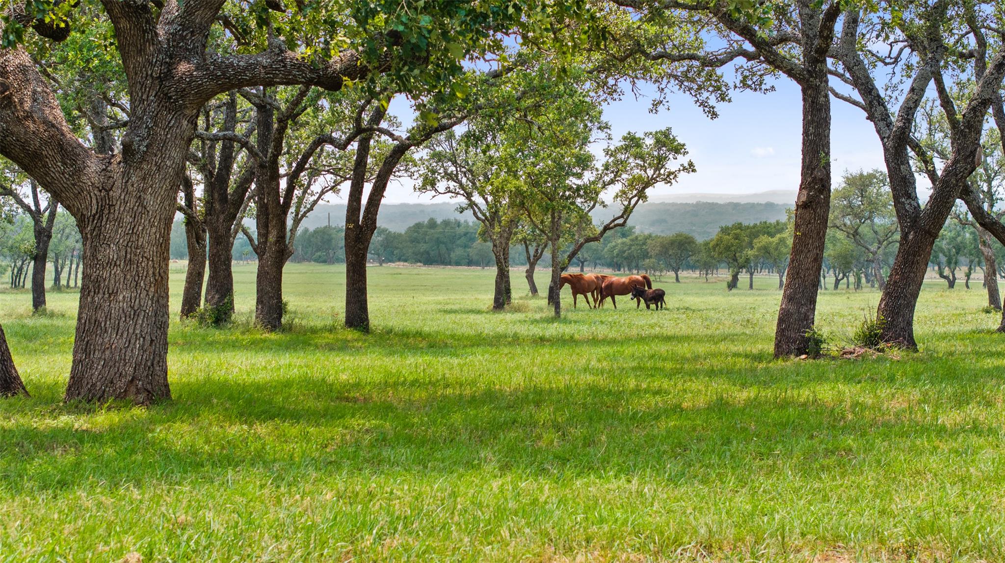 3576 Klett Ranch Road Property Photo