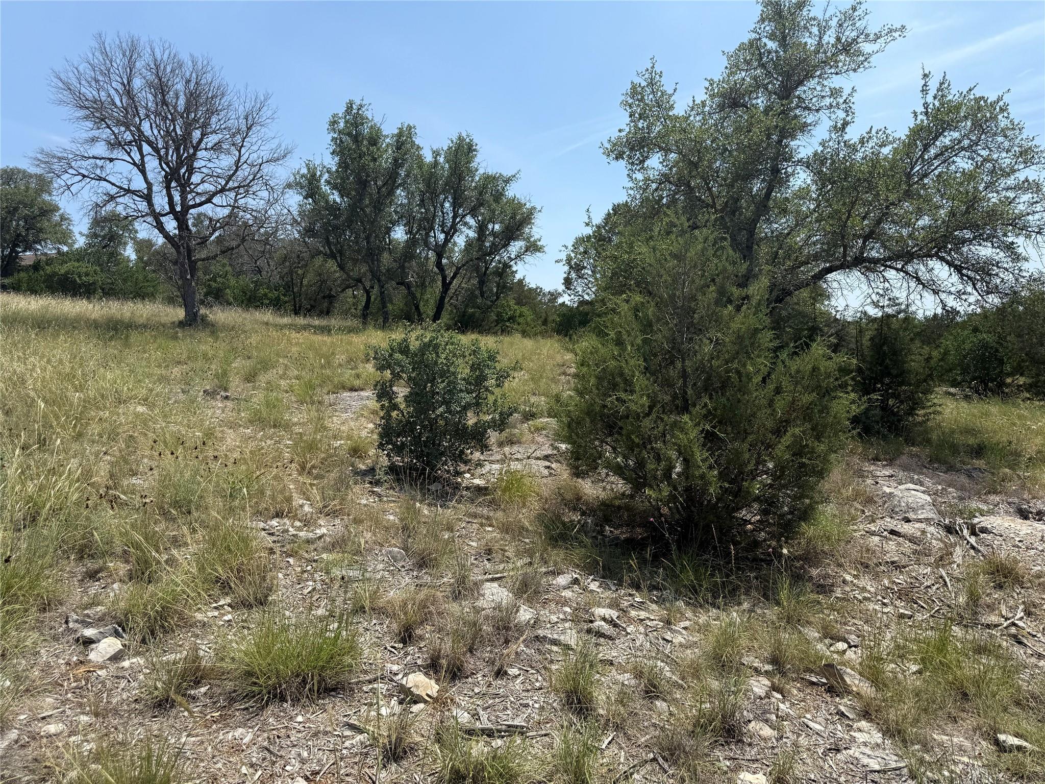 Lot 14067 Hi Mesa Dr Property Photo 12