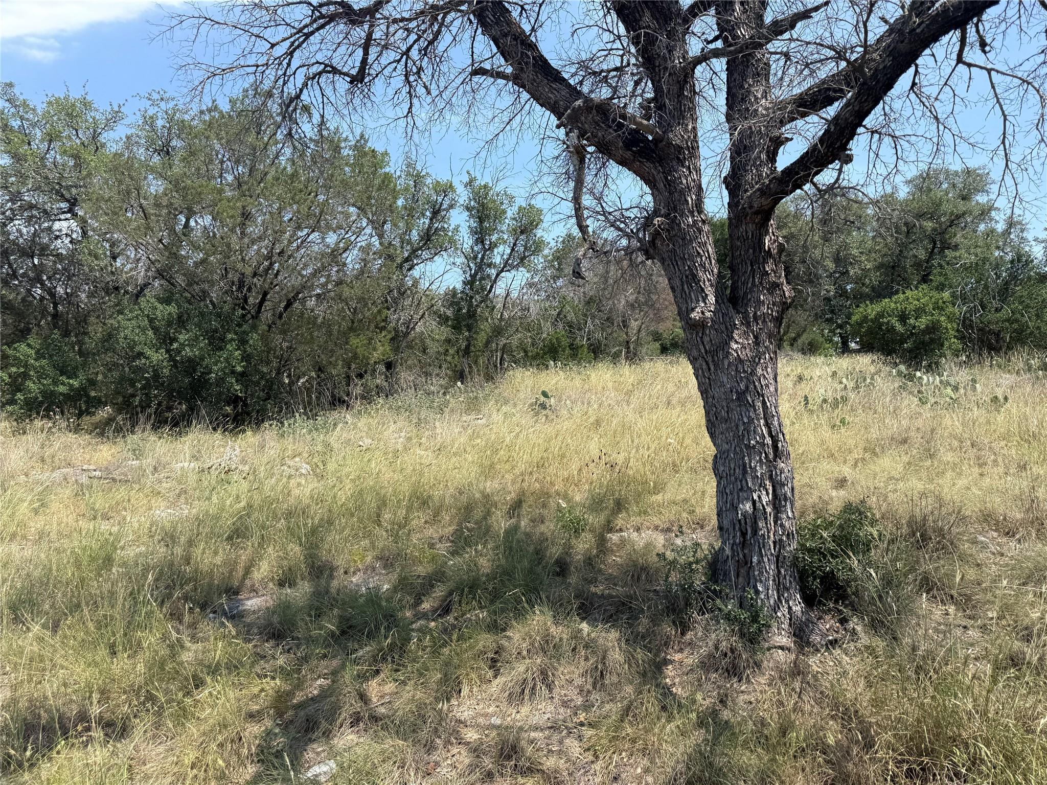 Lot 14067 Hi Mesa Dr Property Photo 13