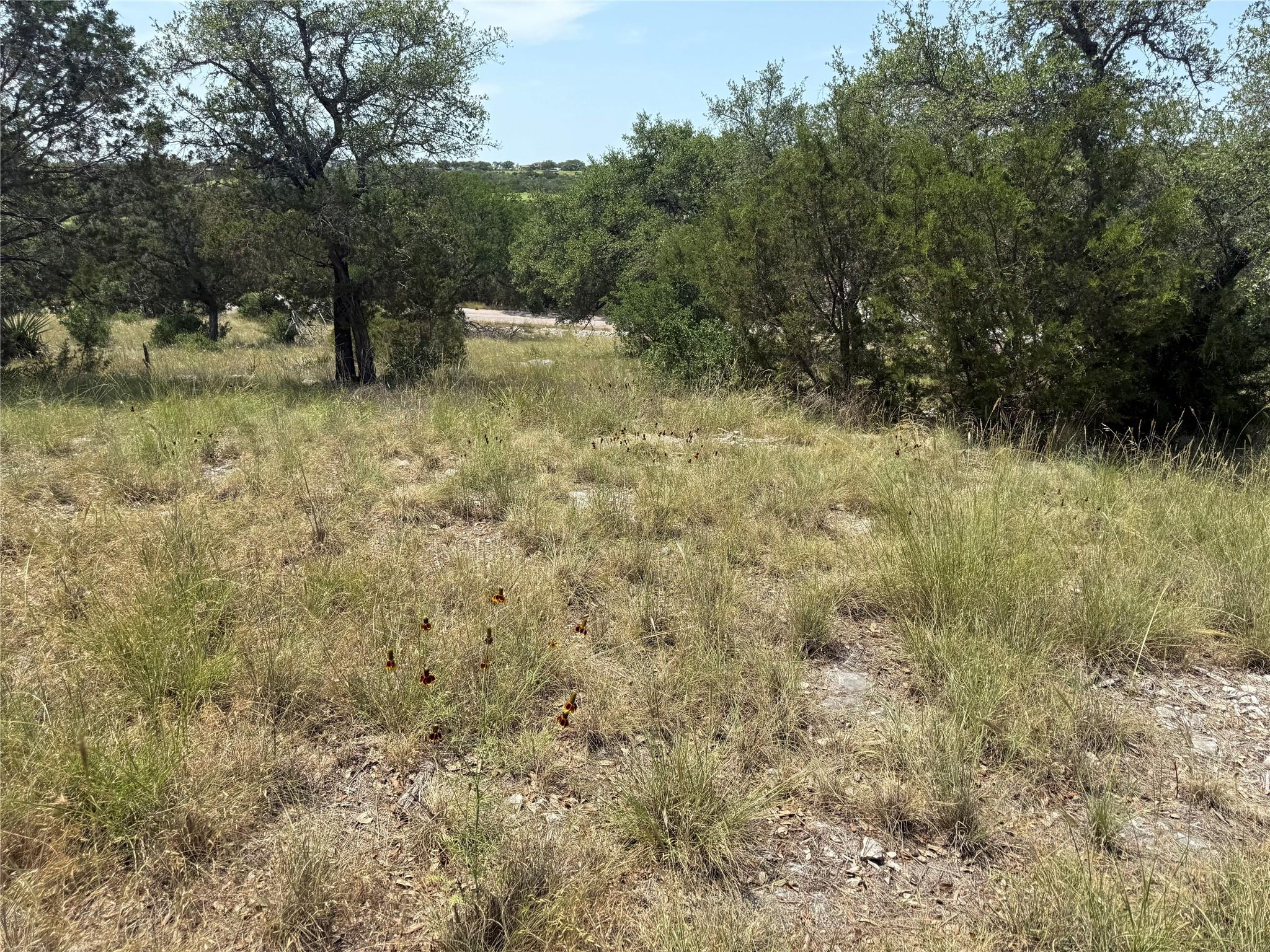 Lot 14067 Hi Mesa Dr Property Photo 17