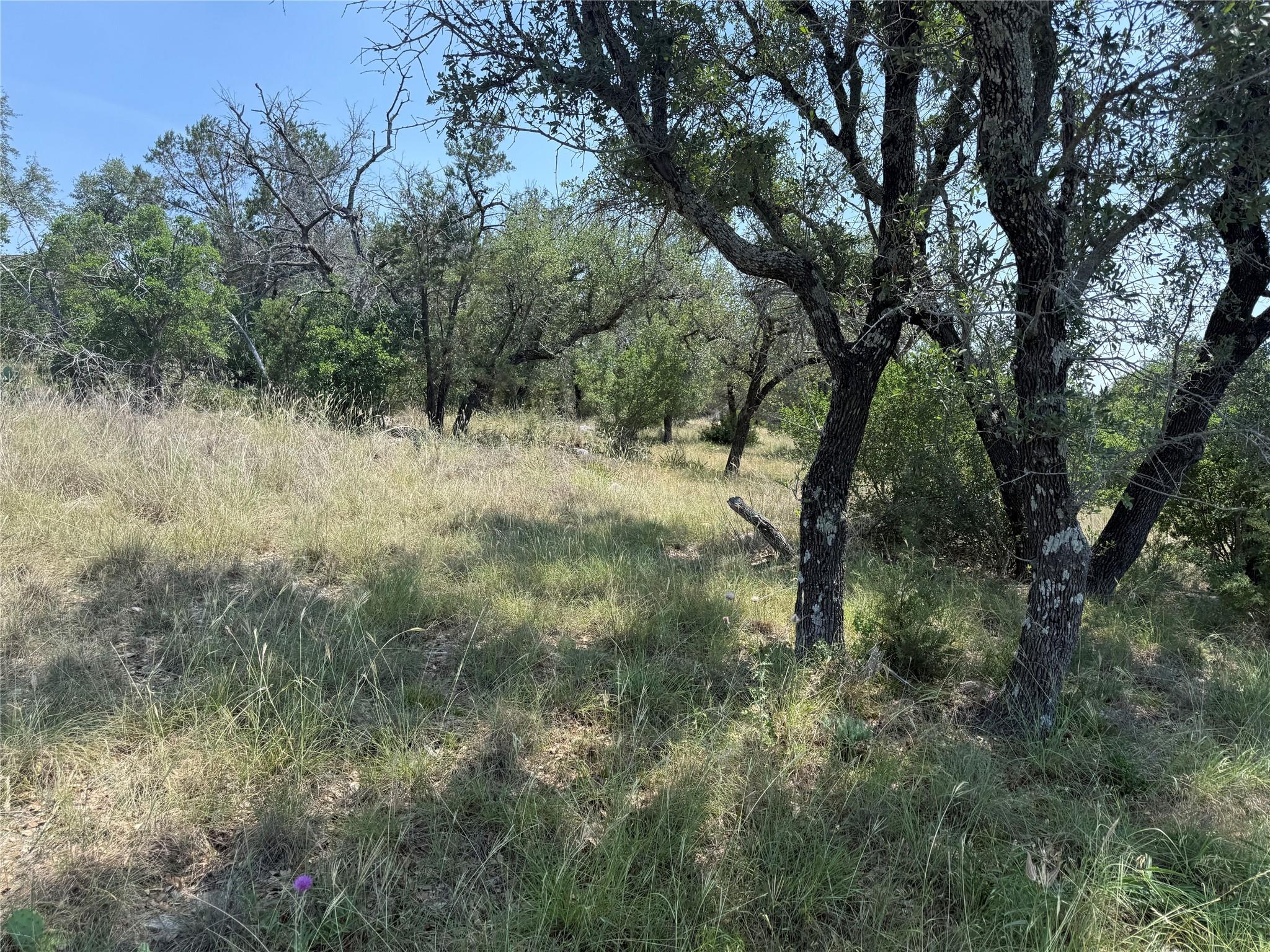 Lot 14067 Hi Mesa Dr Property Photo 18