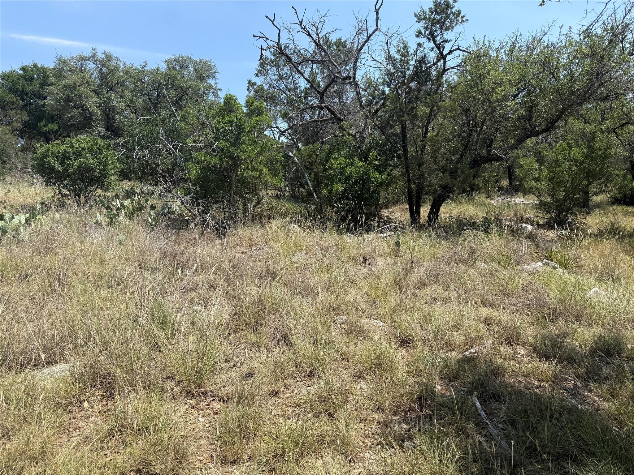 Lot 14067 Hi Mesa Dr Property Photo 21