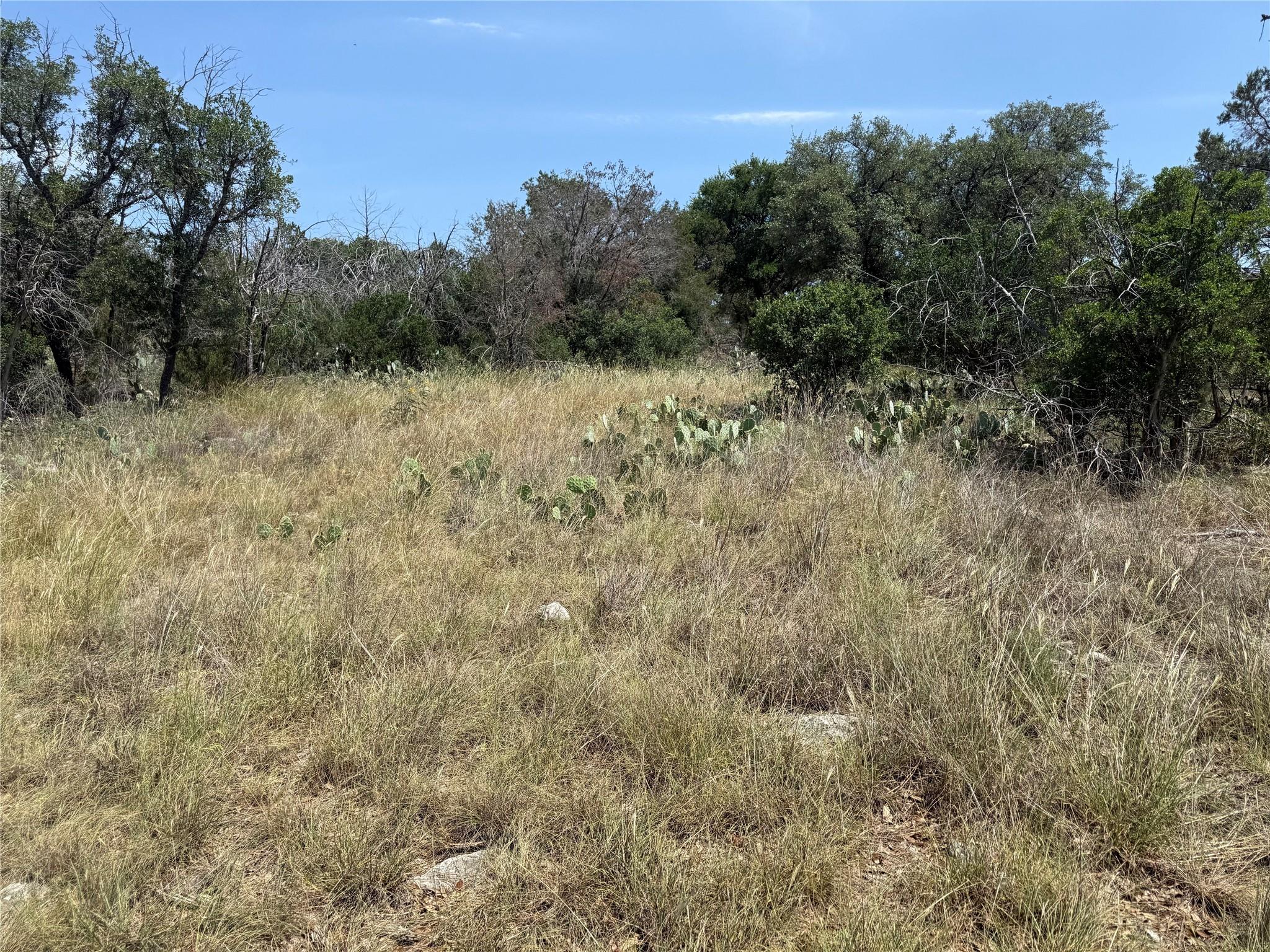 Lot 14067 Hi Mesa Dr Property Photo 22