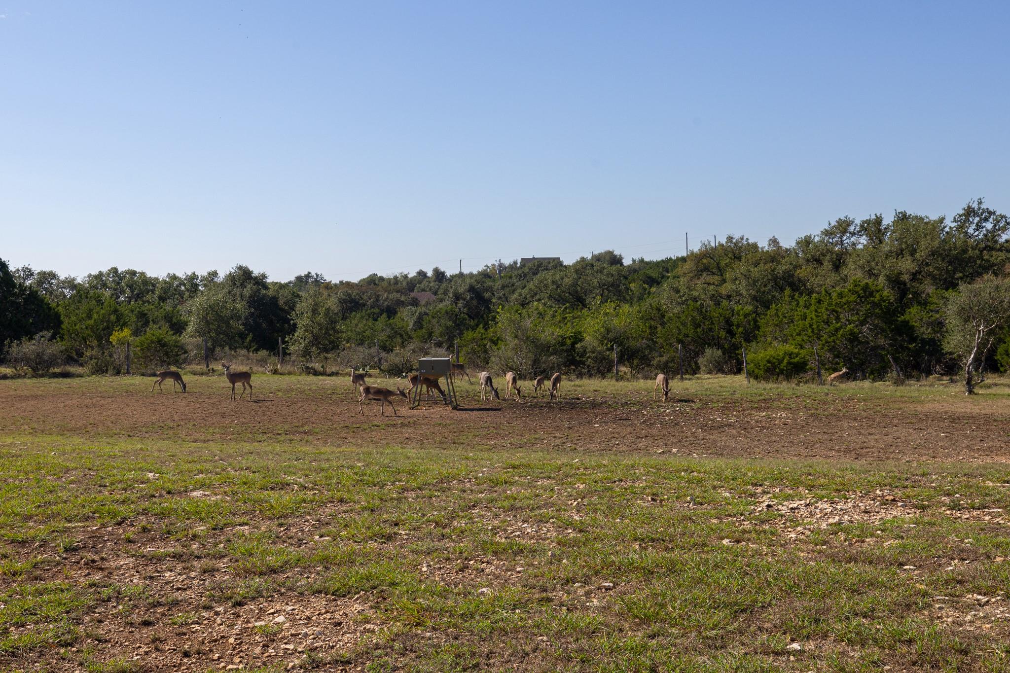260 Mexican Hat Dr Property Photo 38