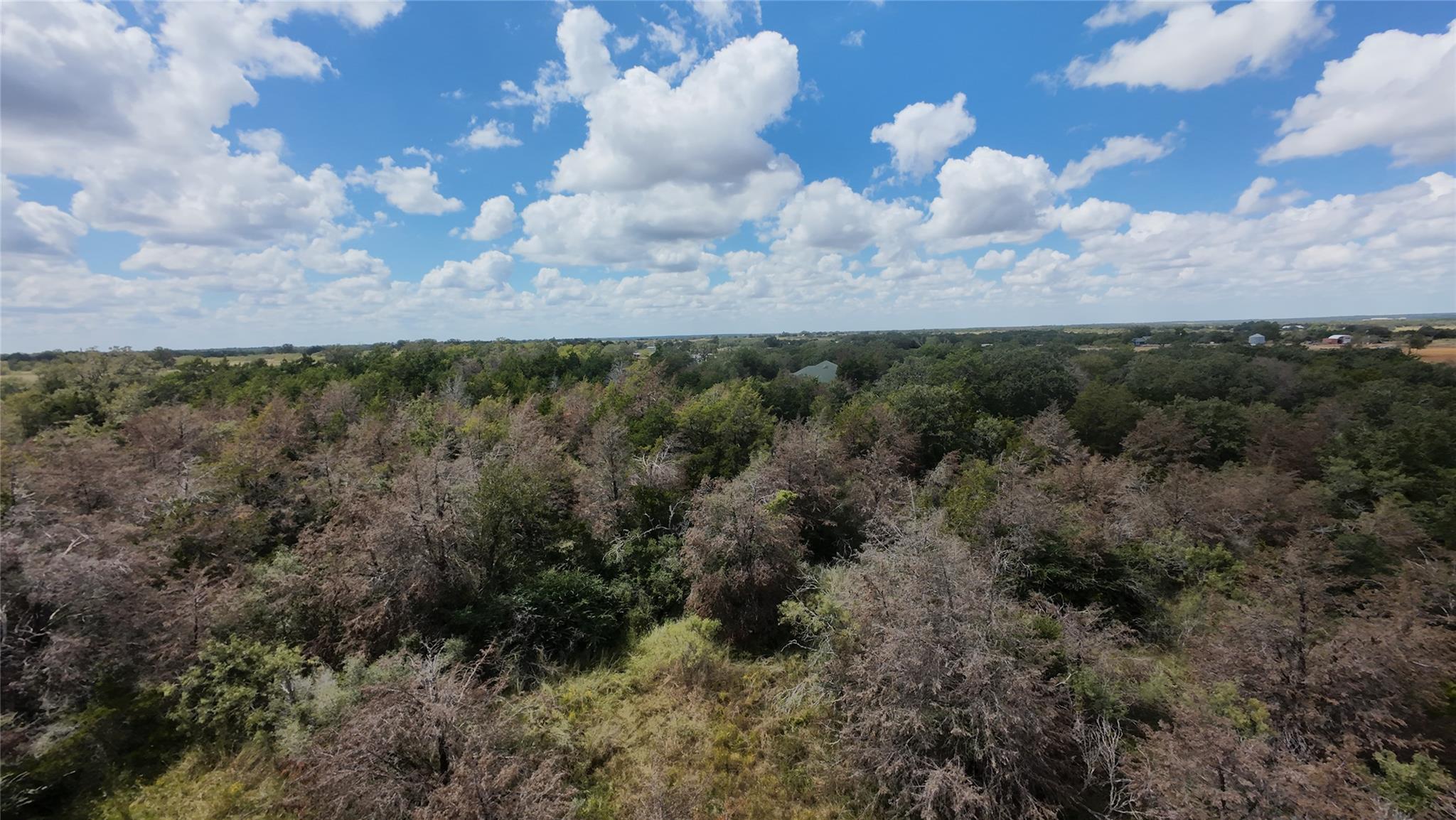 741 Knobbs Rd Property Photo 31