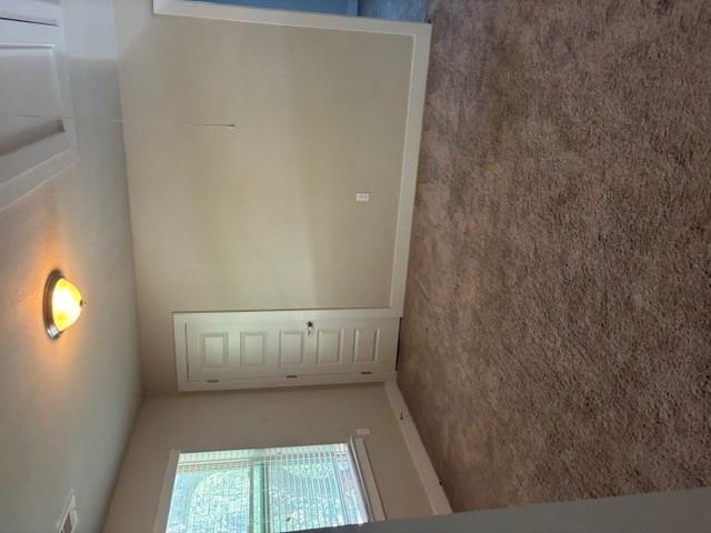 10626 Wills Loop Property Photo 17