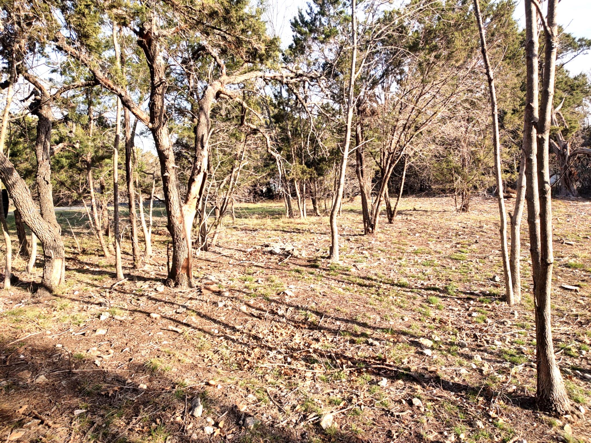 8390 Mountain Dr Property Photo 3