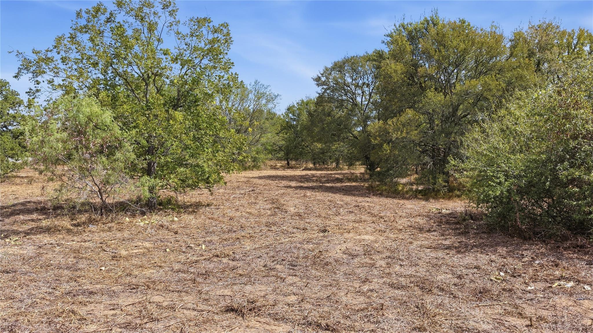 Tbd Hwy 304 None Property Photo 5