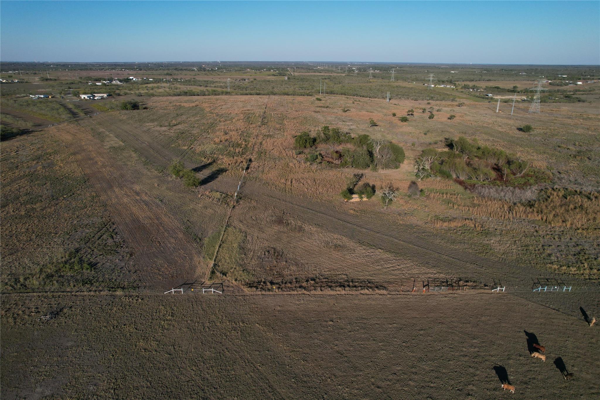 696 Williamson Rd Property Photo 11