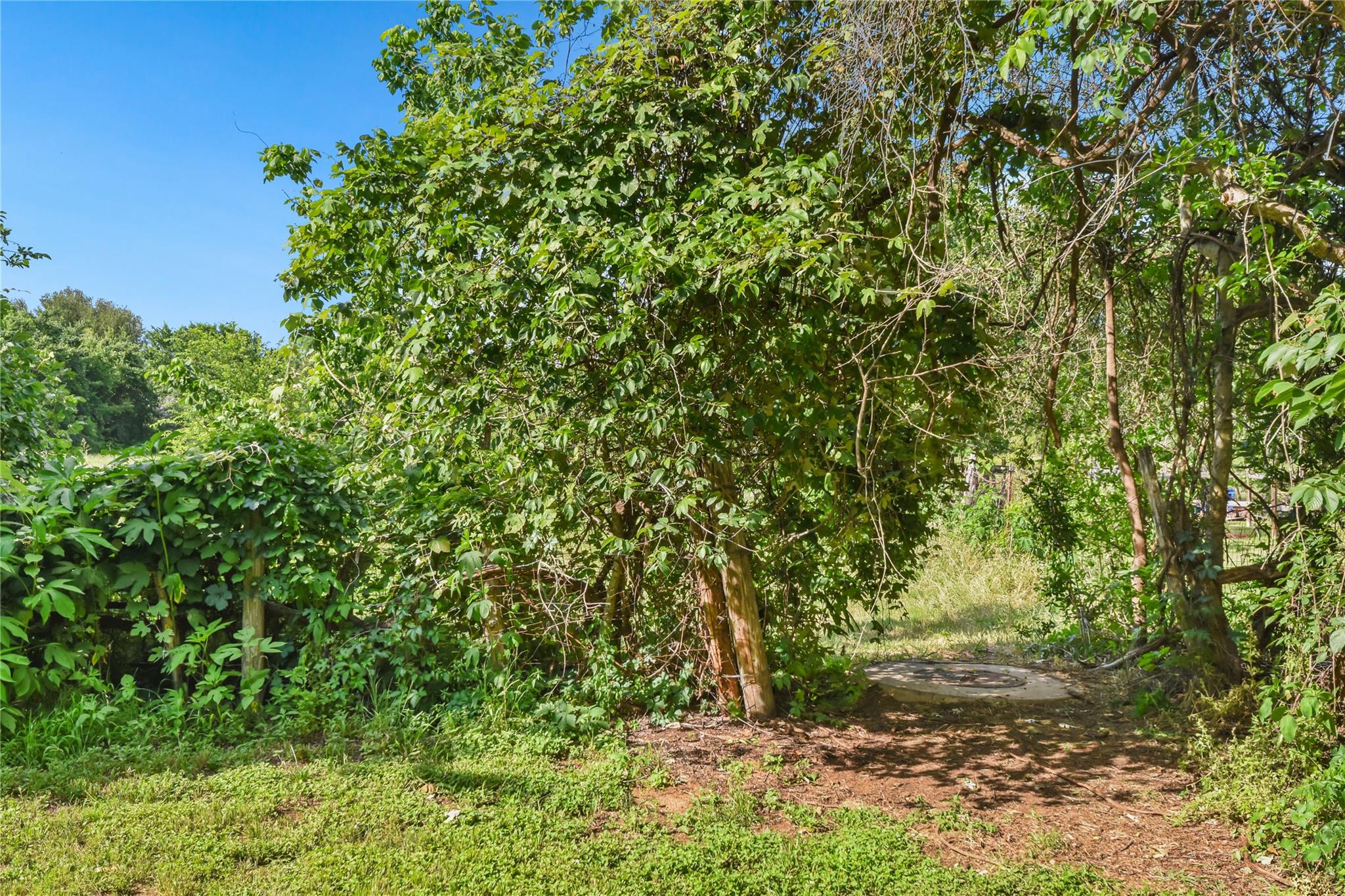 528 Old Mcdade Rd Property Photo 36