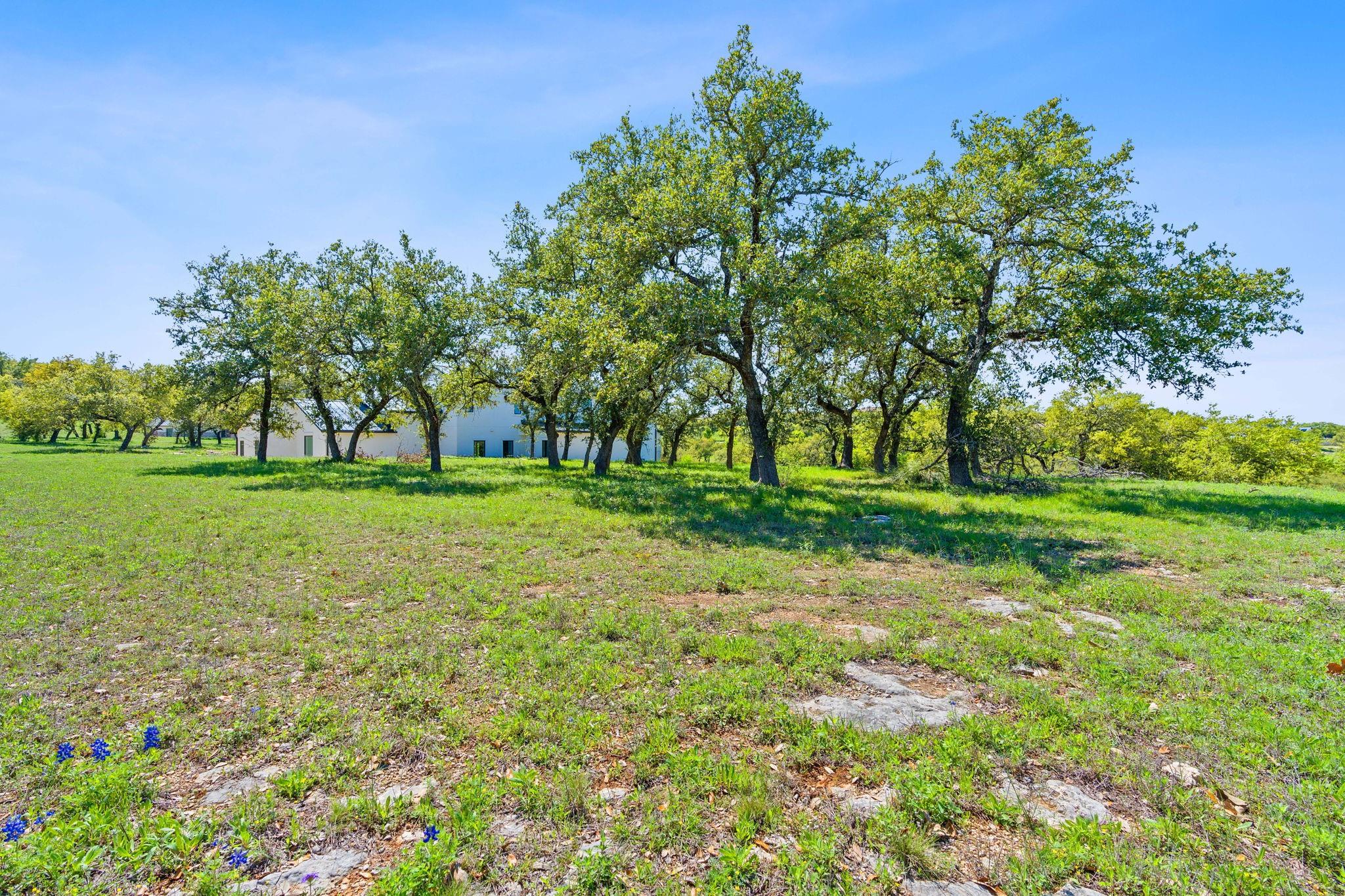 27213 Waterfall Hill Pkwy Property Photo 3