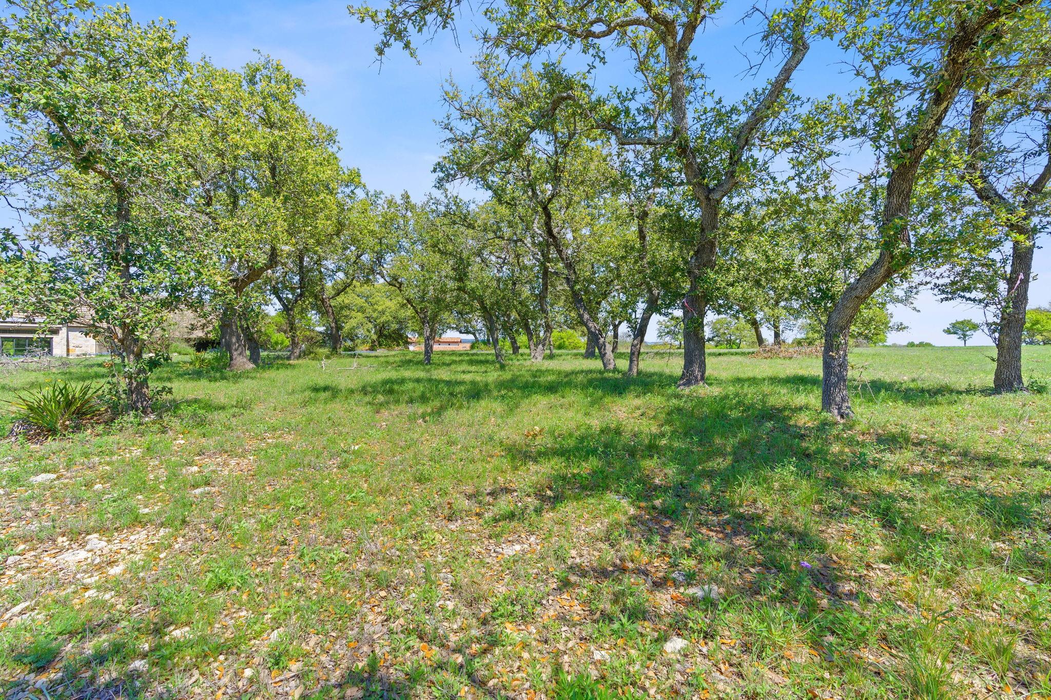 27213 Waterfall Hill Pkwy Property Photo 7
