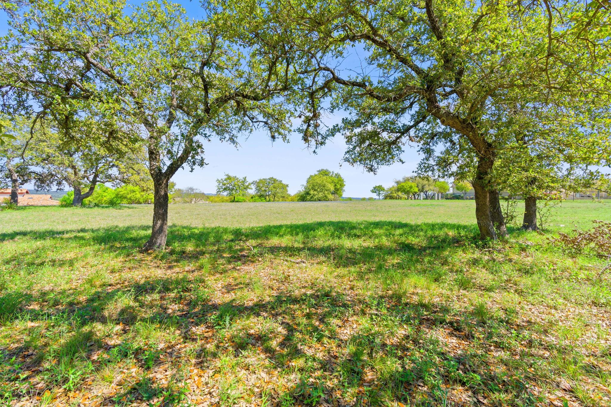 27213 Waterfall Hill Pkwy Property Photo 8