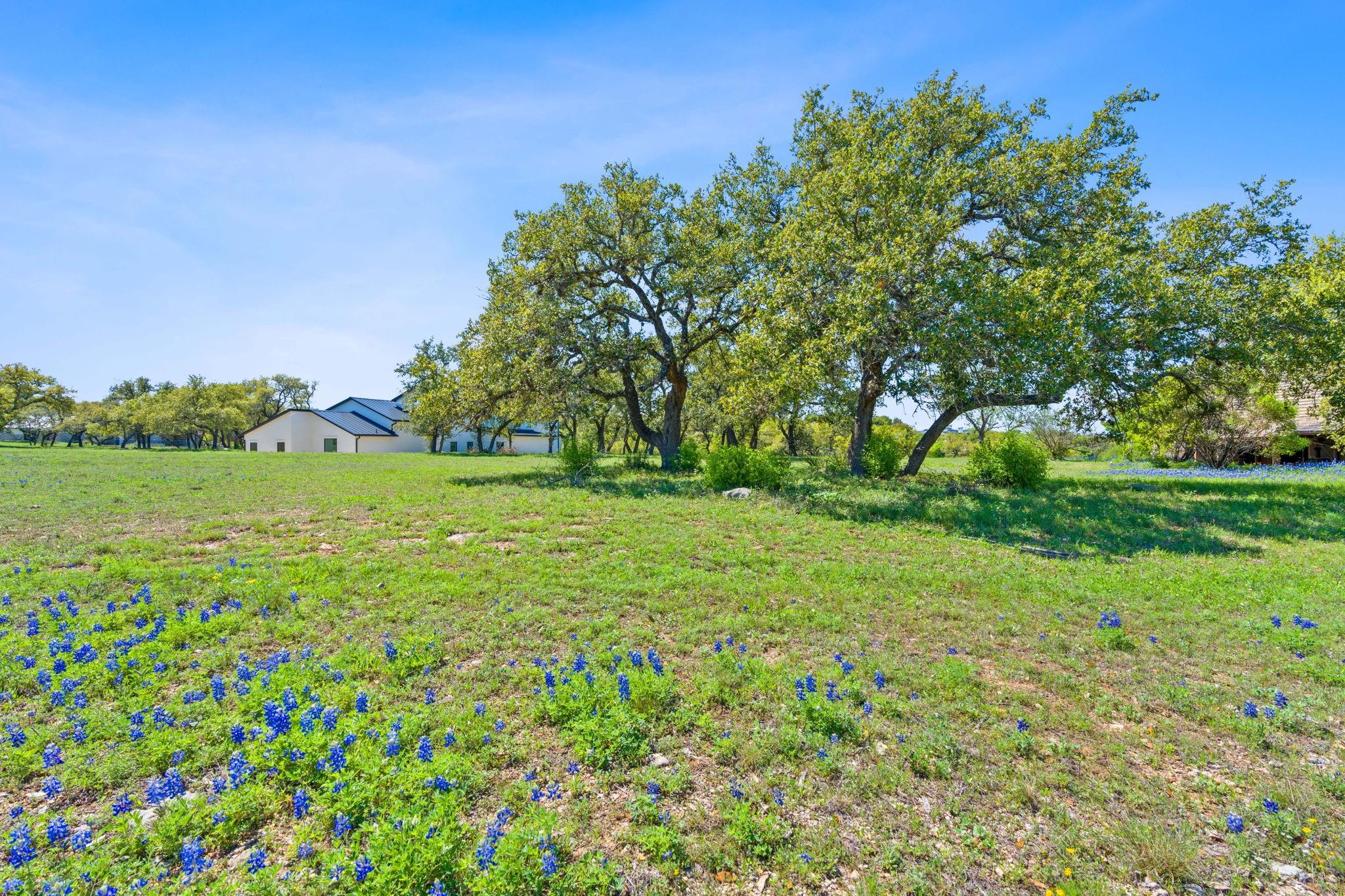 27213 Waterfall Hill Pkwy Property Photo 15
