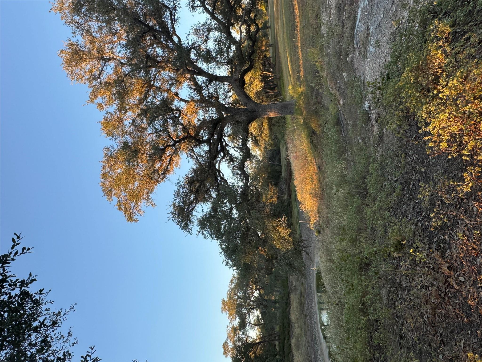 2636 E Fm 532 None Property Photo 6