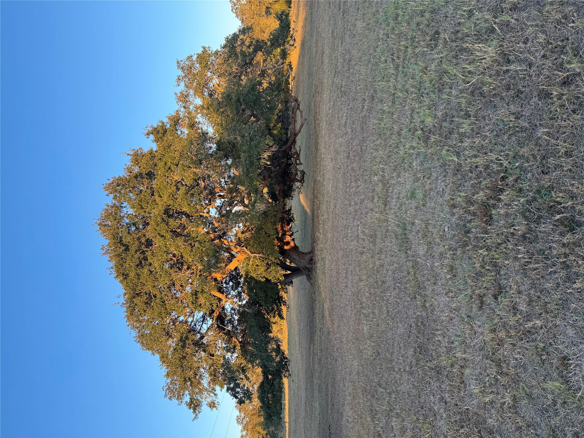 2636 E Fm 532 None Property Photo 38