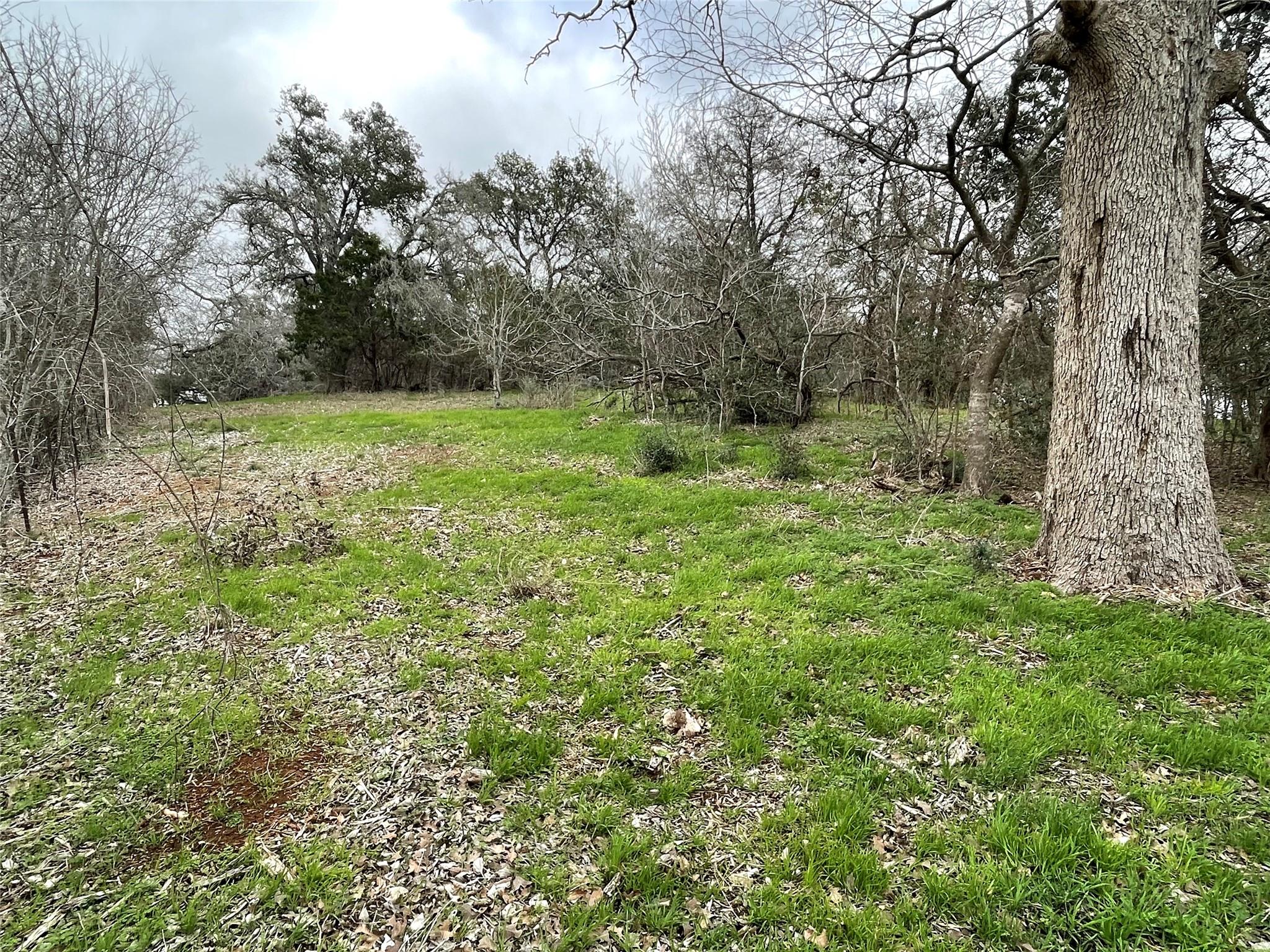 5884 Tenneycreek Rd Property Photo 2