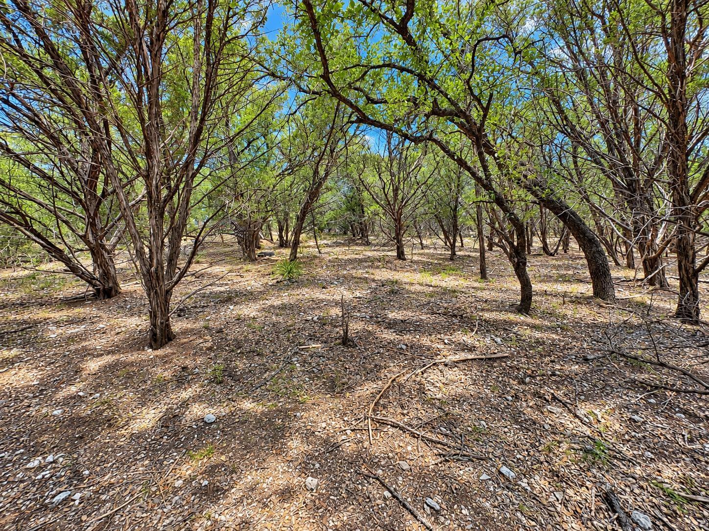 21004 Post Oak Dr Property Photo 6