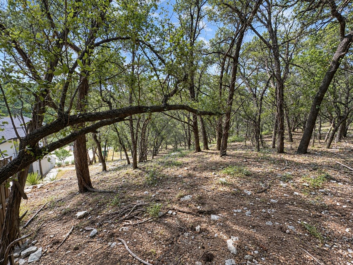 21004 Post Oak Dr Property Photo 9